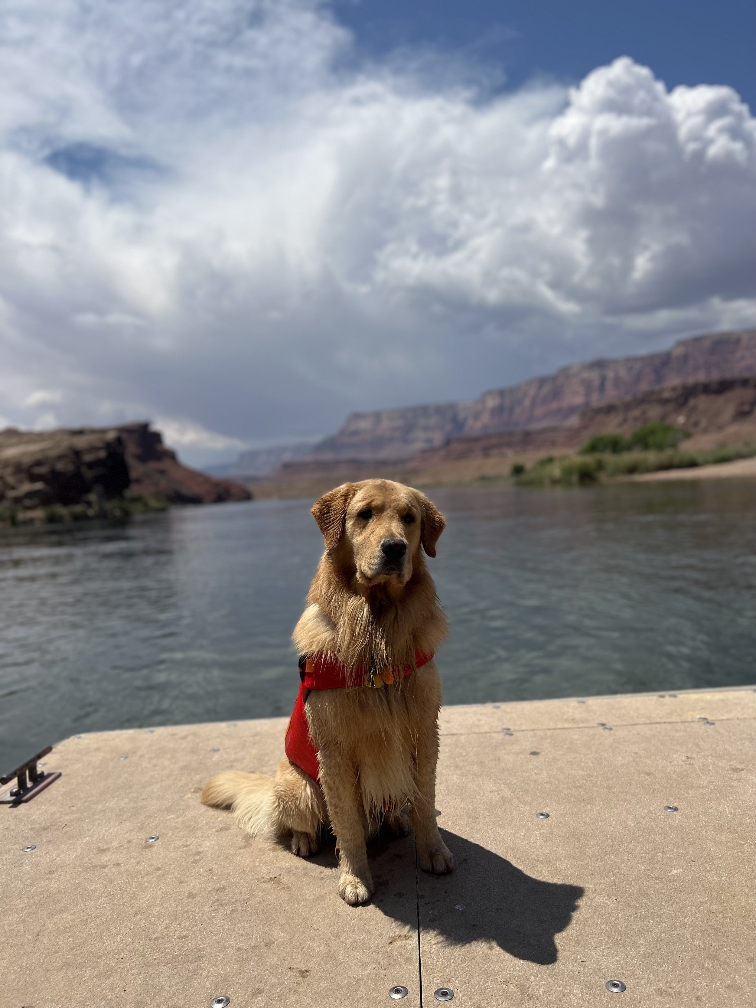 Pet Friendly Vacation Rentals in Empire, CO - BringFido