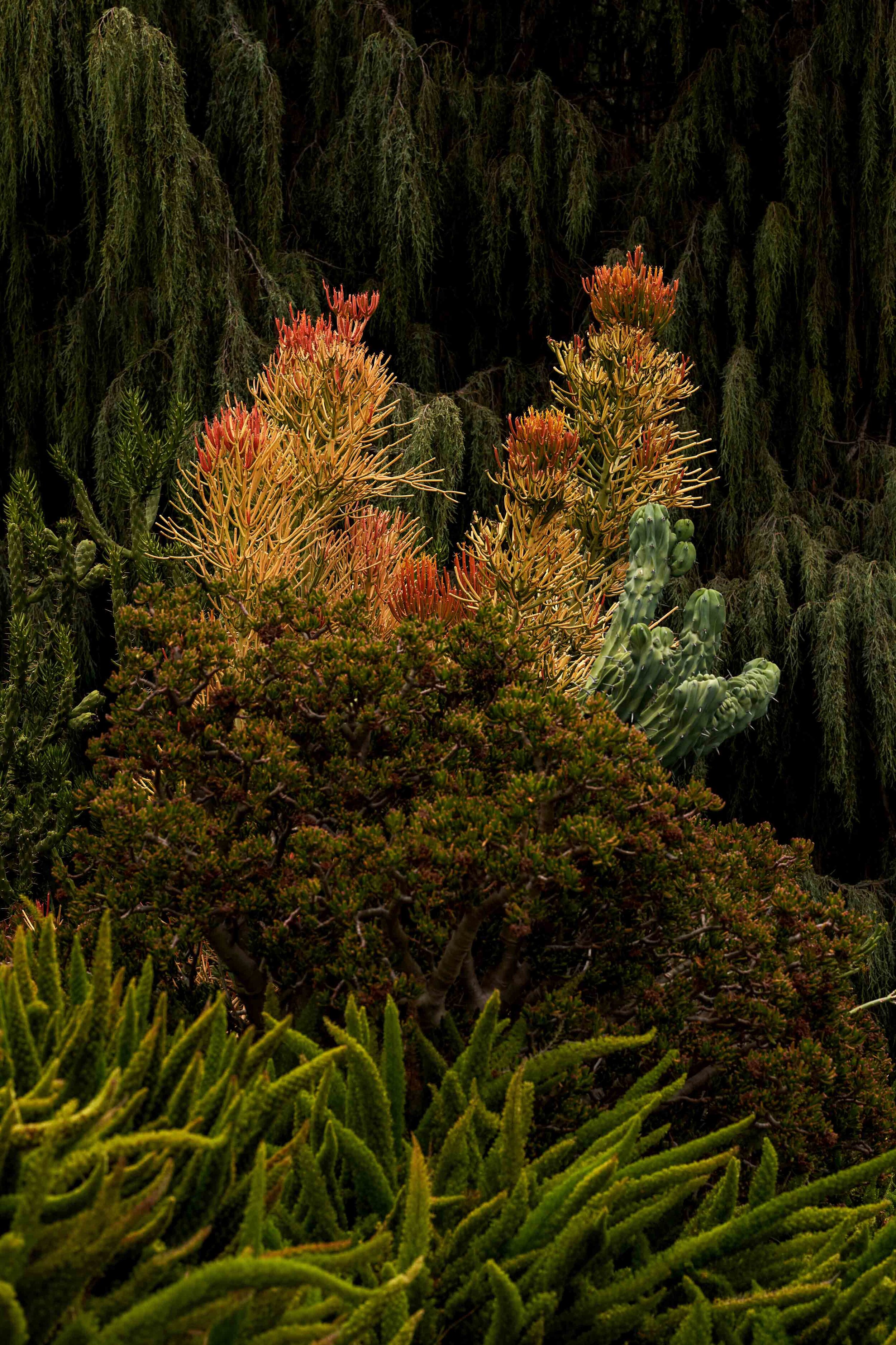 LA Arboretum_ 1 copy.jpg