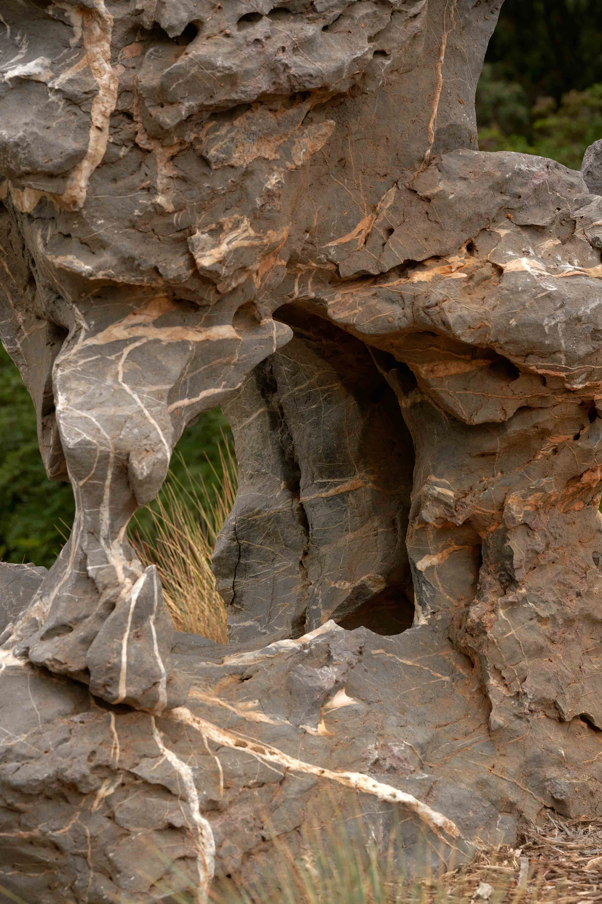 LA Arboretum_ 20 copy.jpg