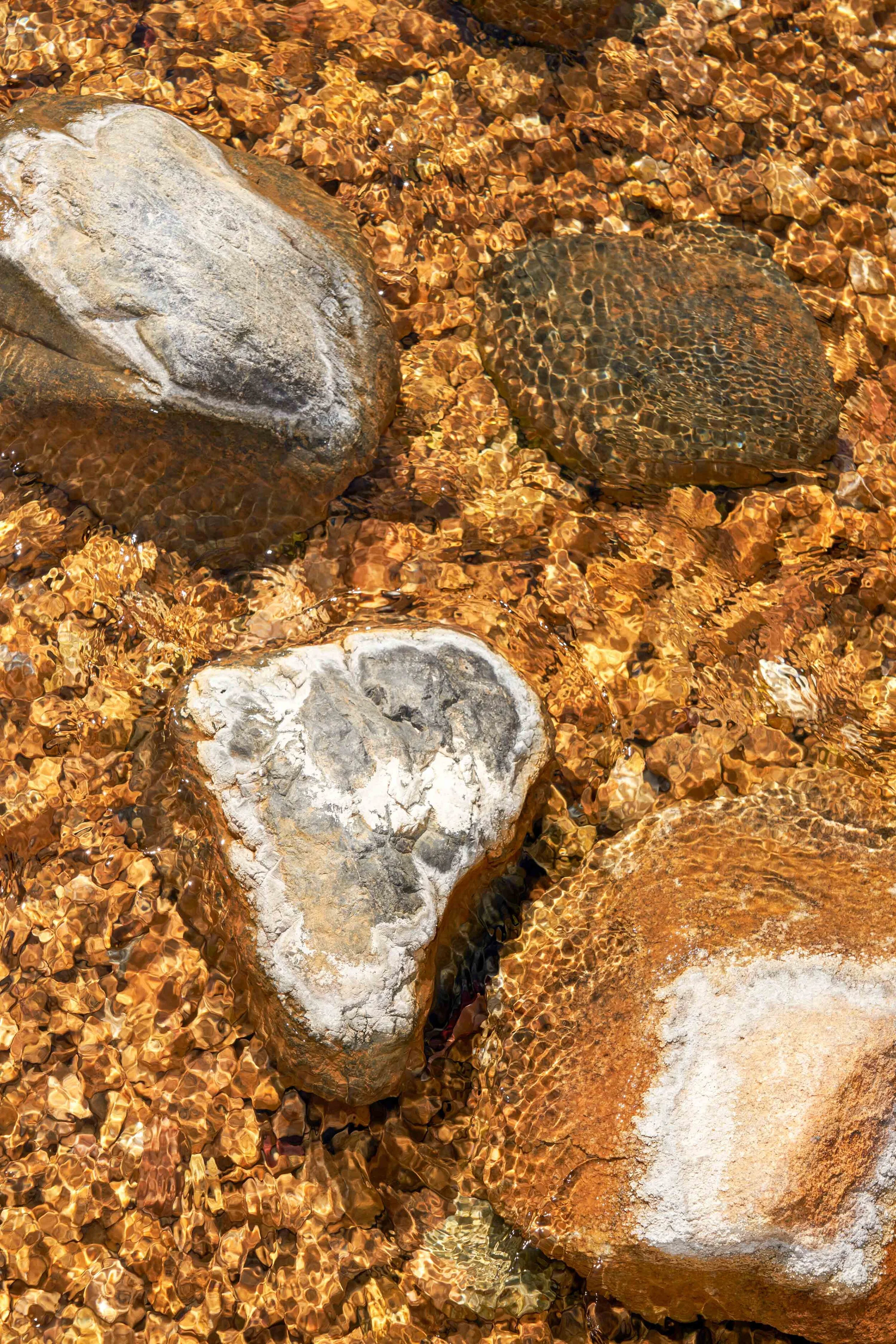 Michelle_Groskopf_Jul 30 2020Naguchi_Garden_033_.jpg