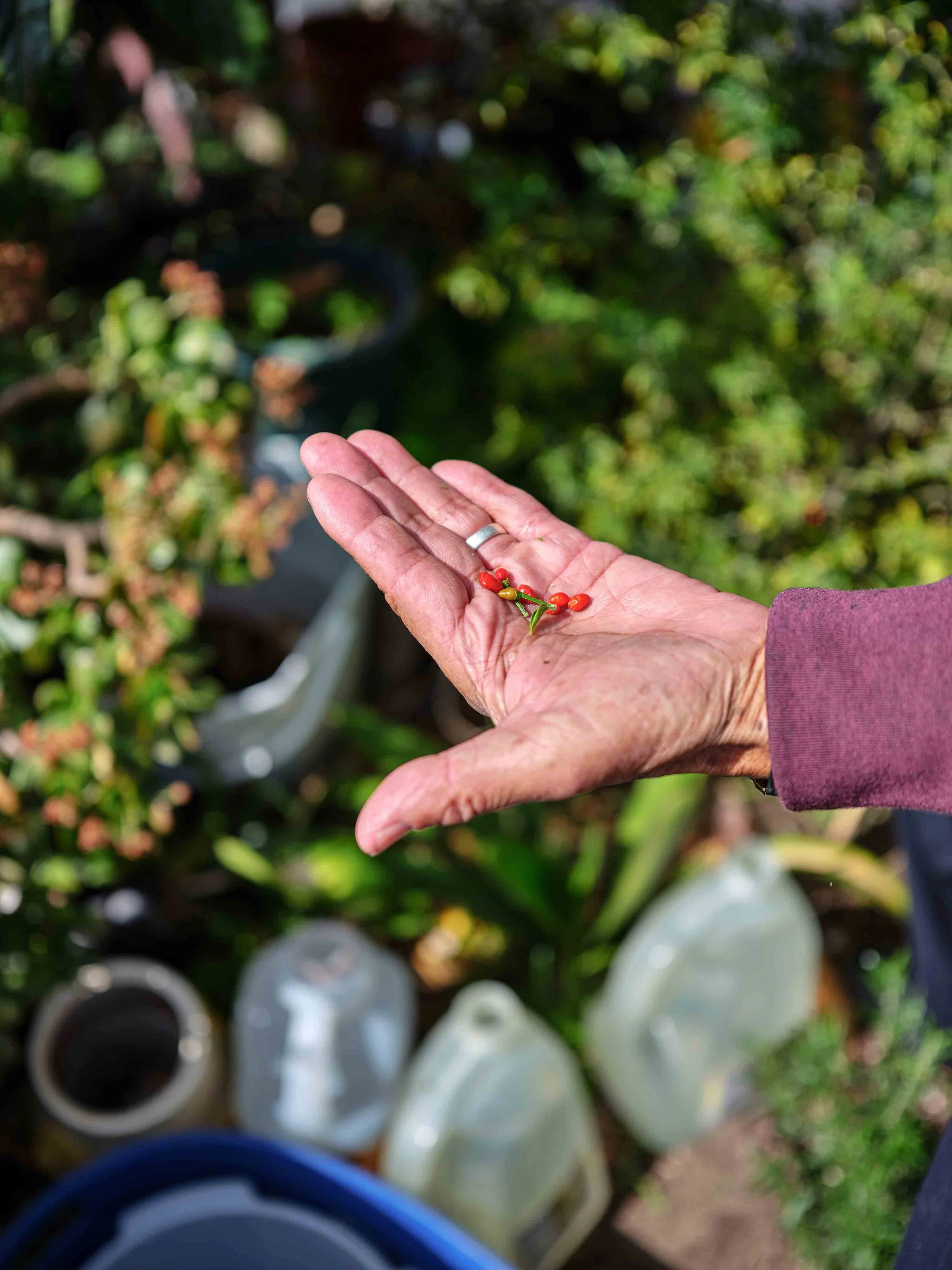 Fuji_50mm_12911_ copy.jpg