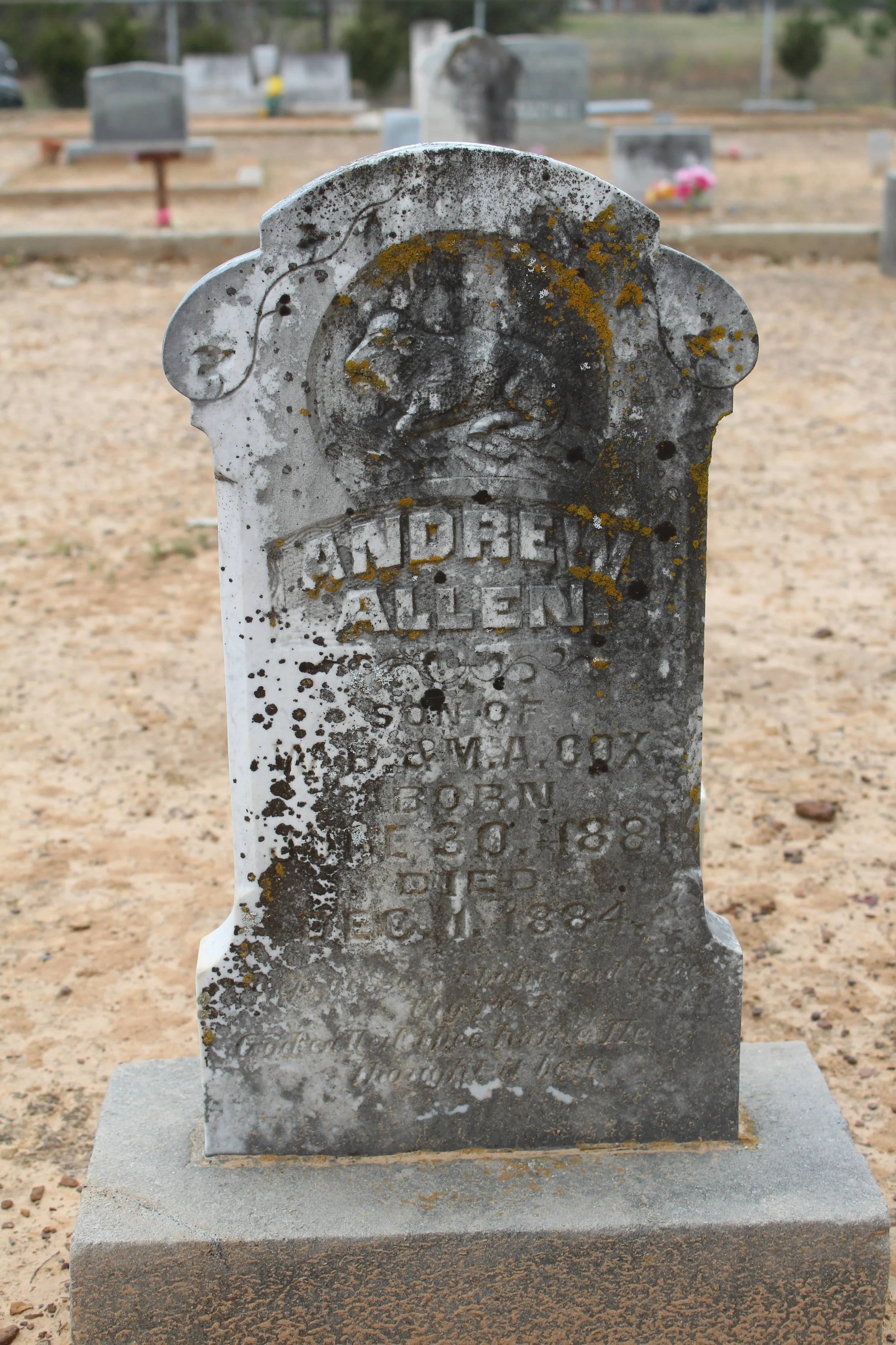 Andrew Allan Cox.JPG