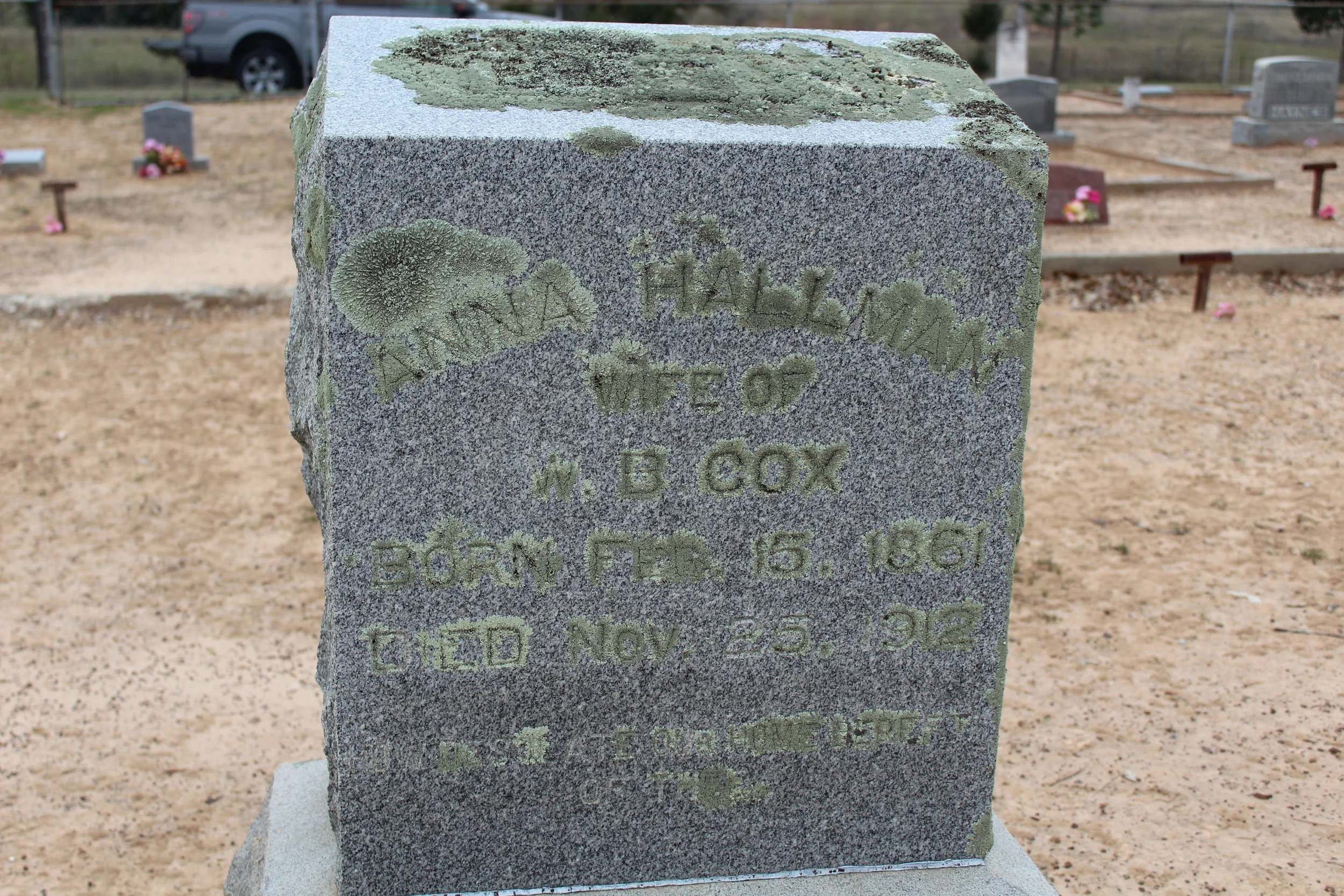 Anna Halman Cox.JPG