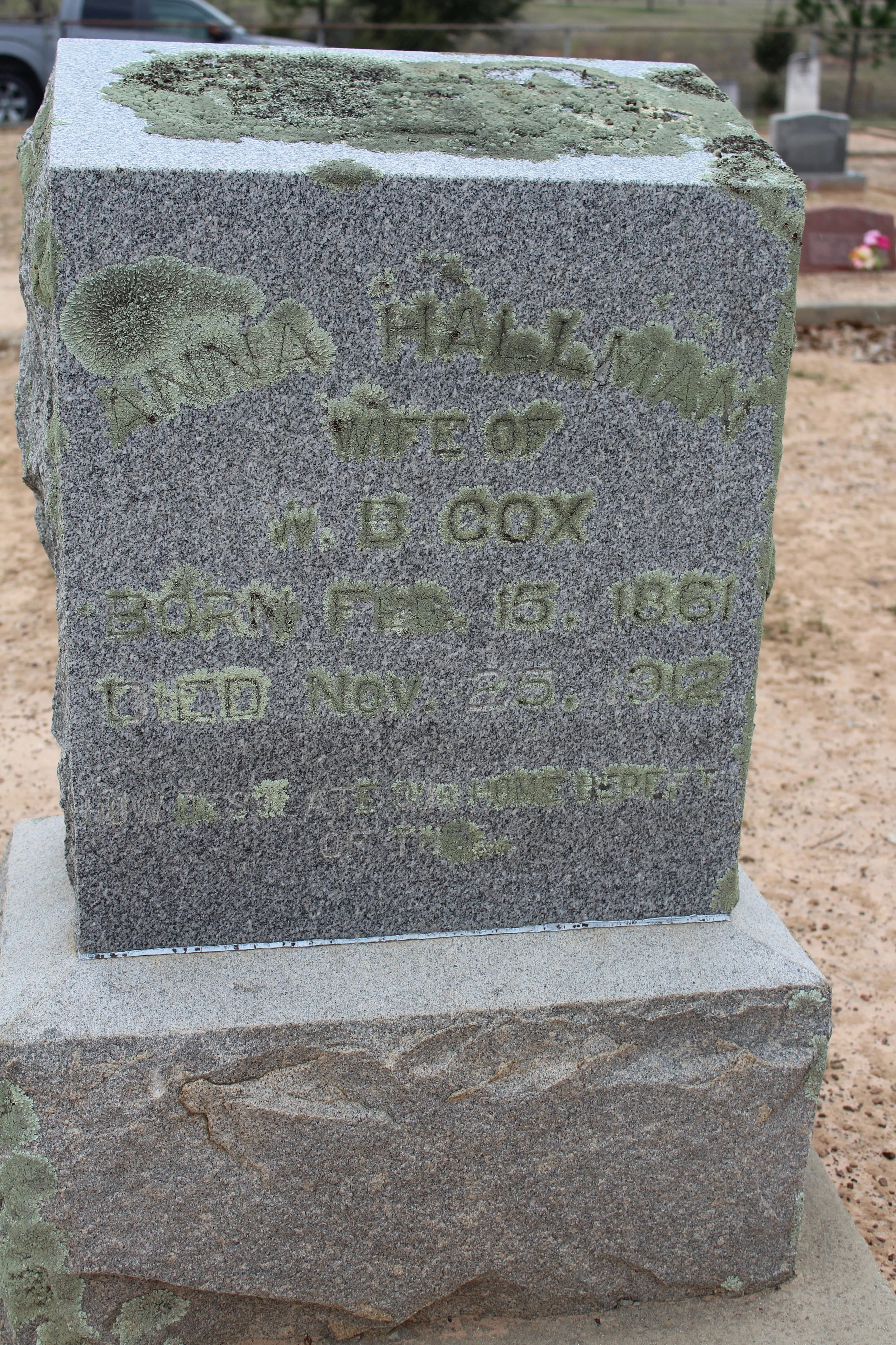 Anna Halman Cox #2.JPG