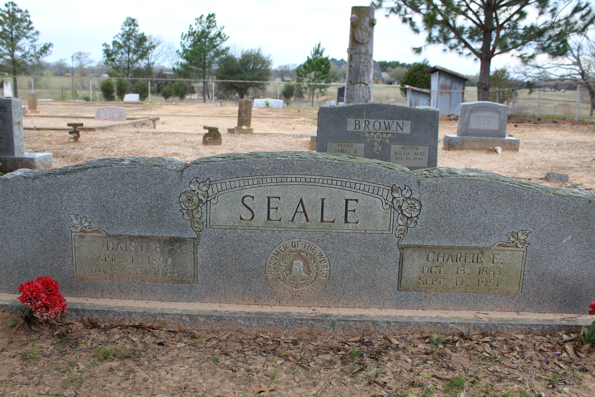 Daisy:Charlie Seale.JPG