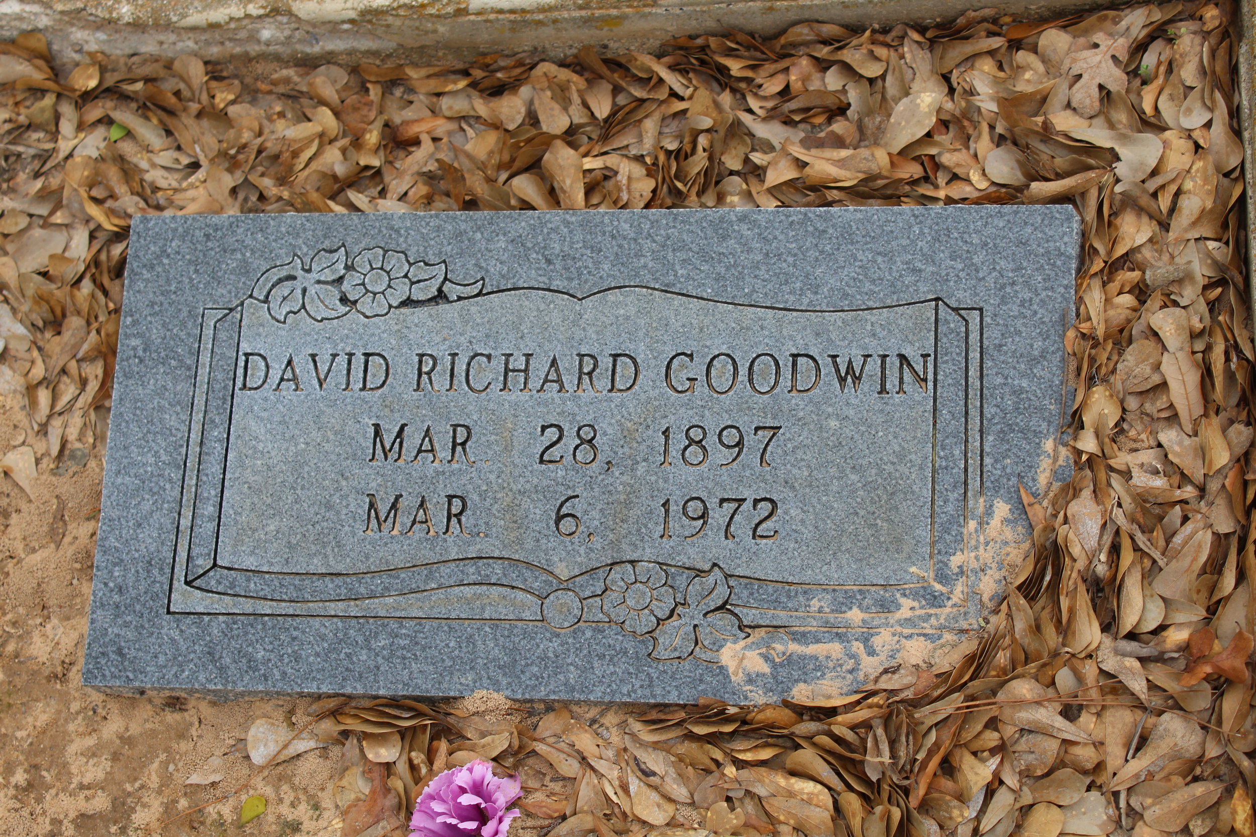 David Richard Goodwin.JPG