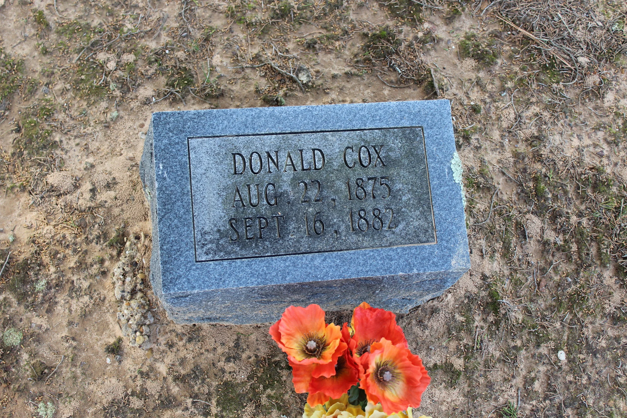 Dondald Cox#3.JPG