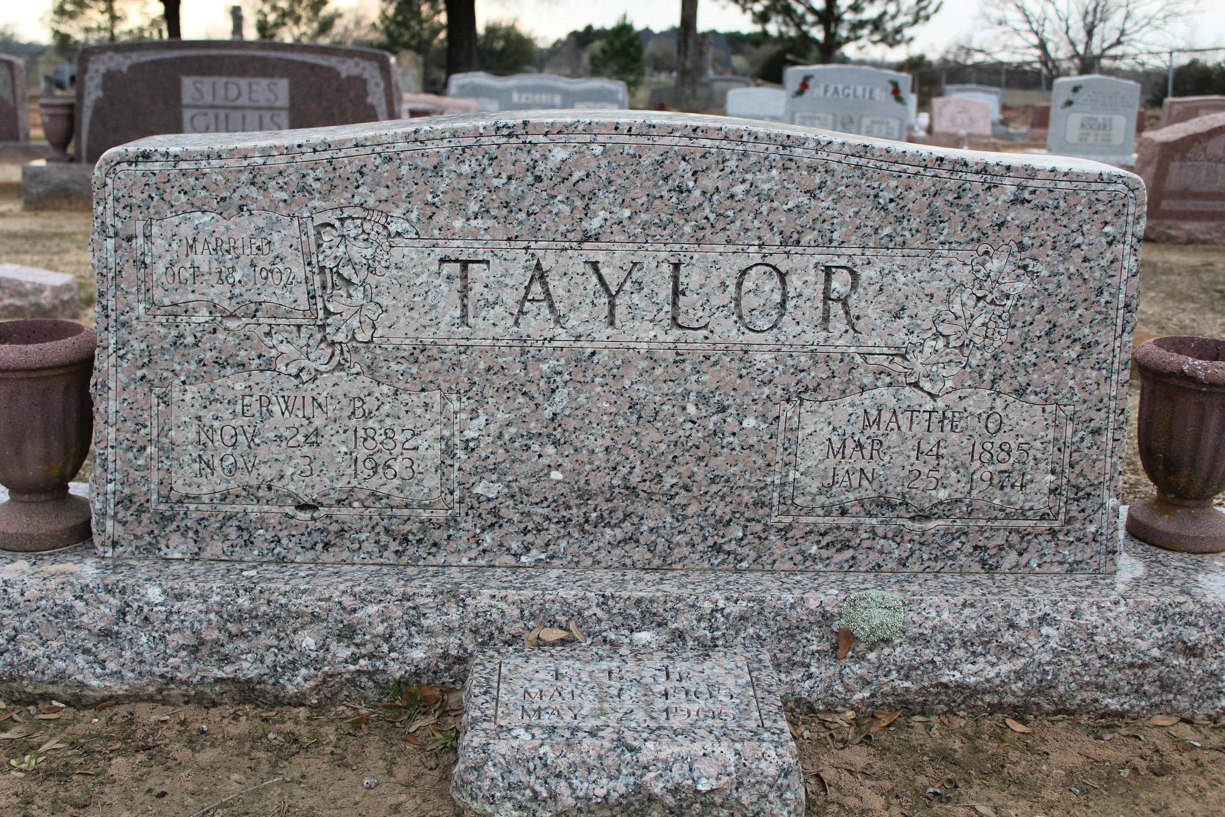 Erwin:Mattie Taylor.JPG