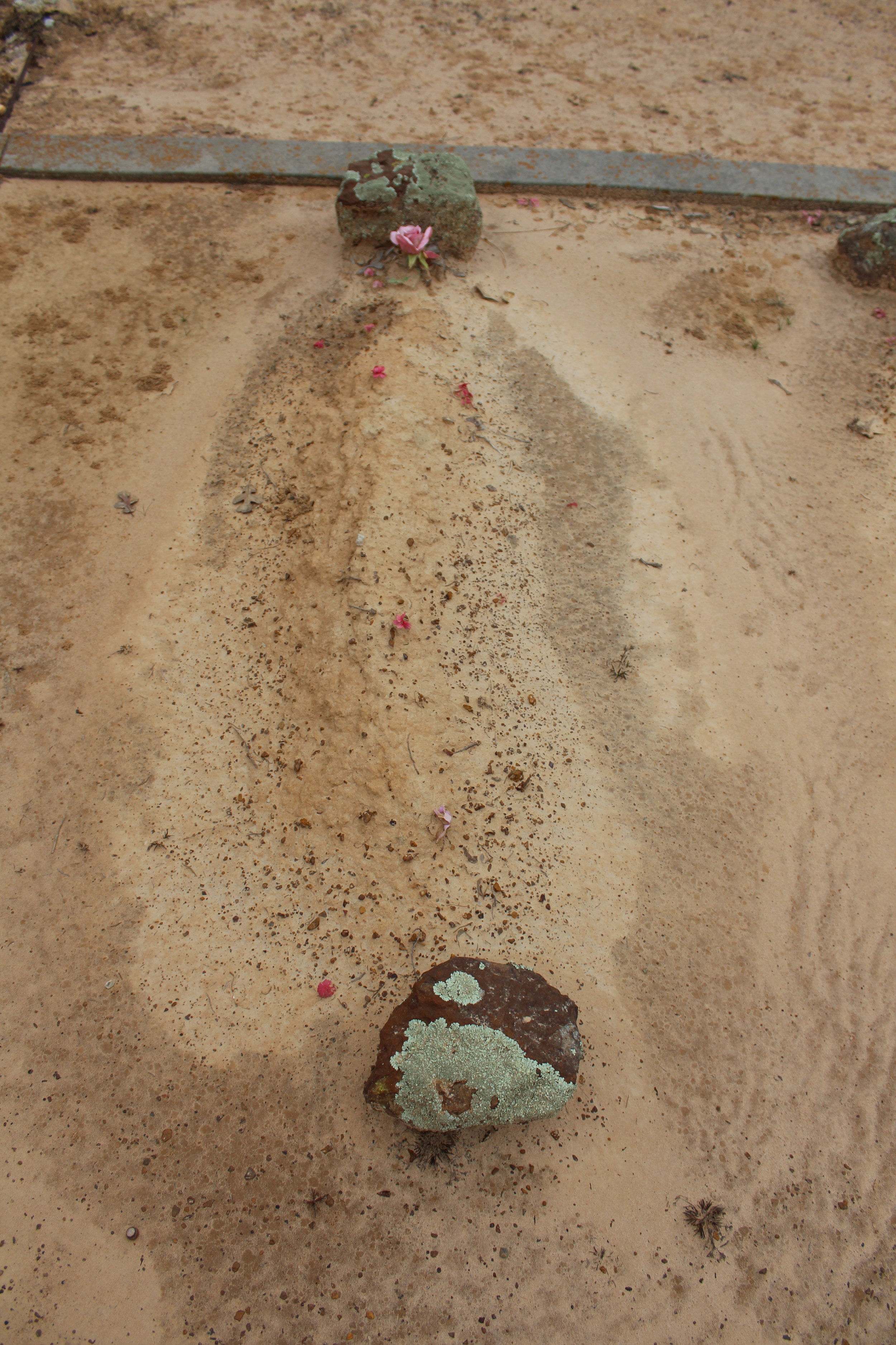 Freeman:Louise Cox Barry.JPG