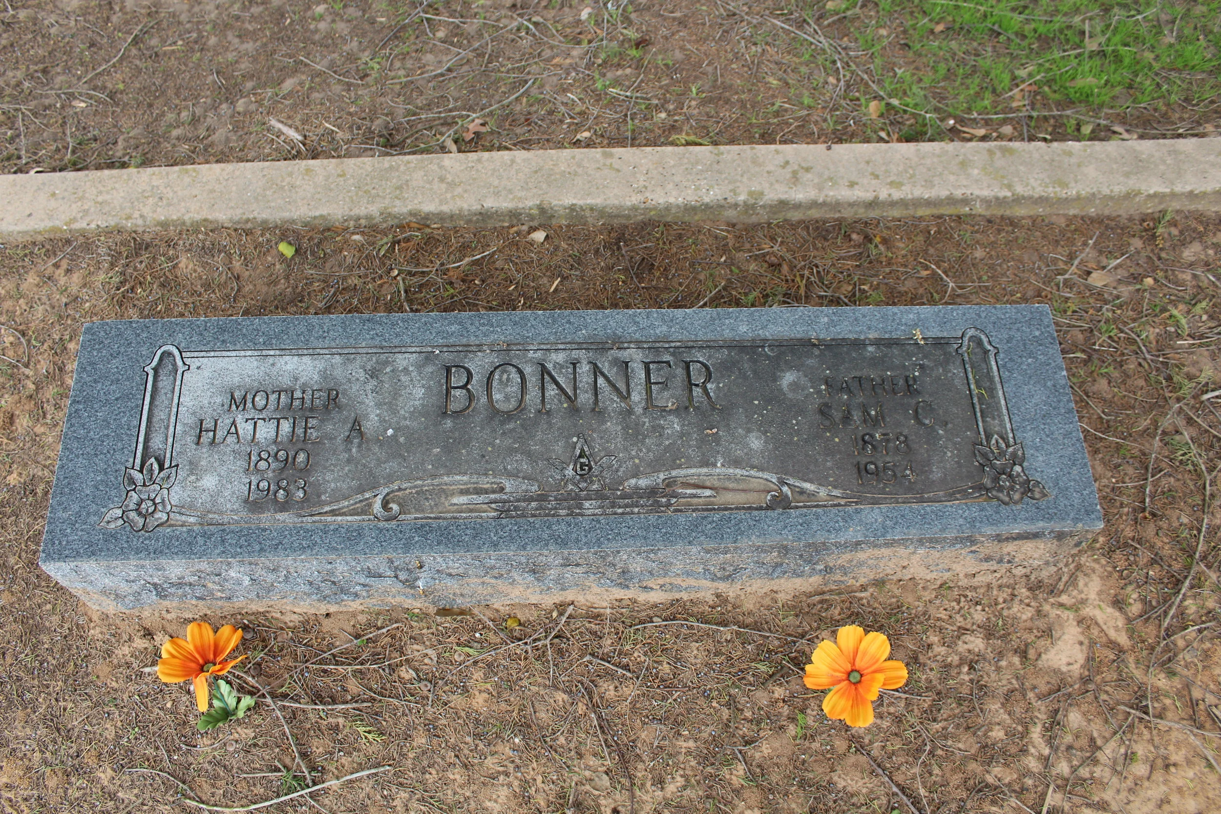 Hattie:Sam Bonner.JPG