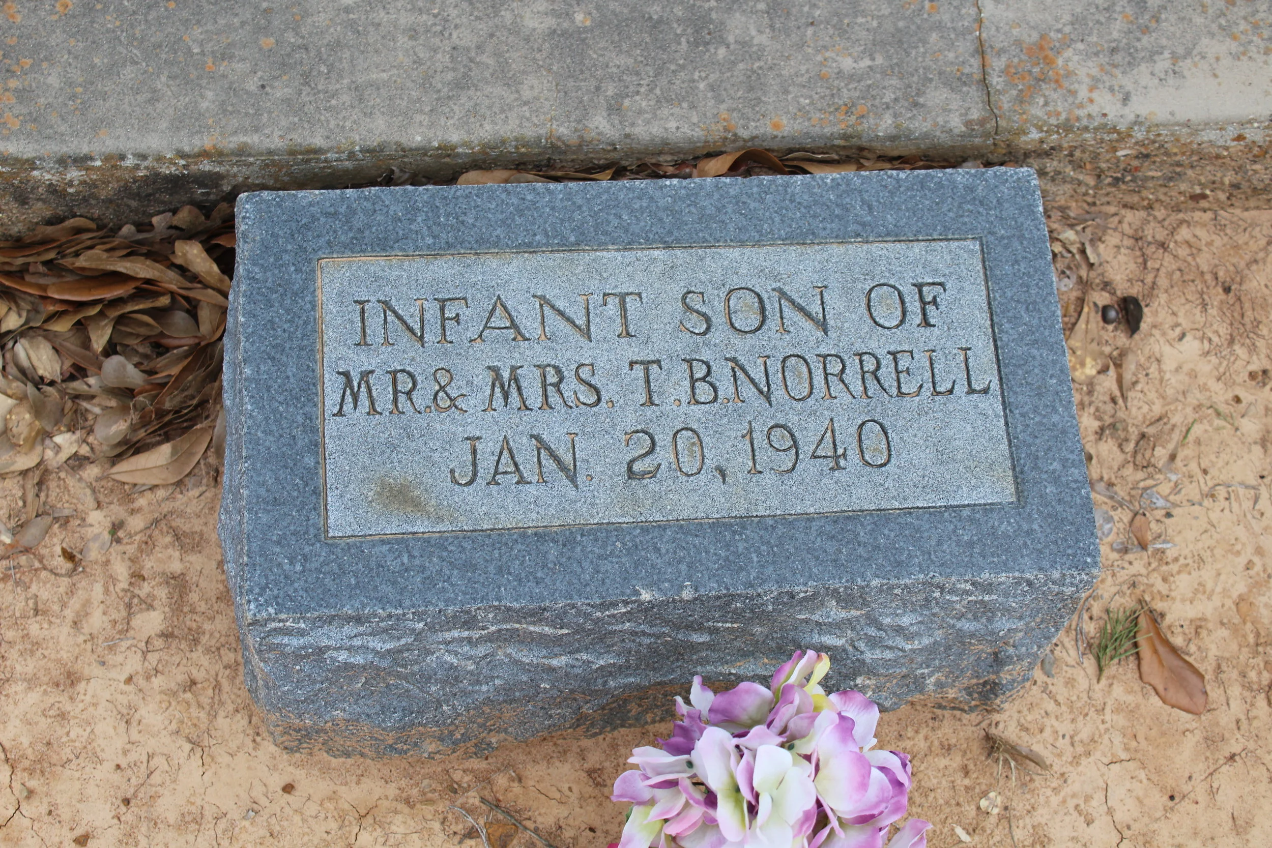 Infant aon of TB Norrell.JPG