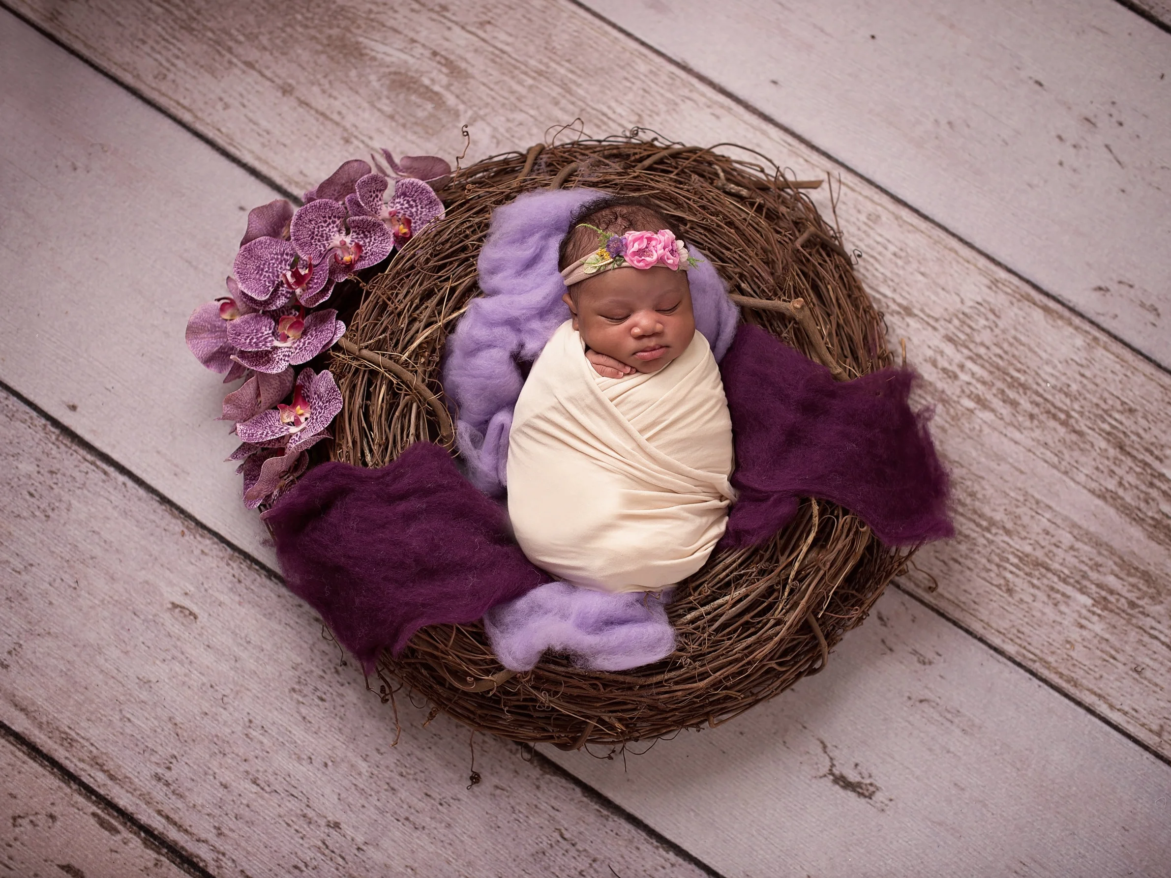 Jackson_DSC_2777 copy.jpg