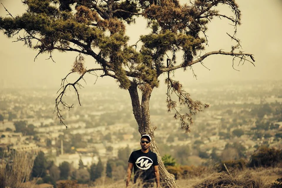 Sum Tree - iHouman.jpg