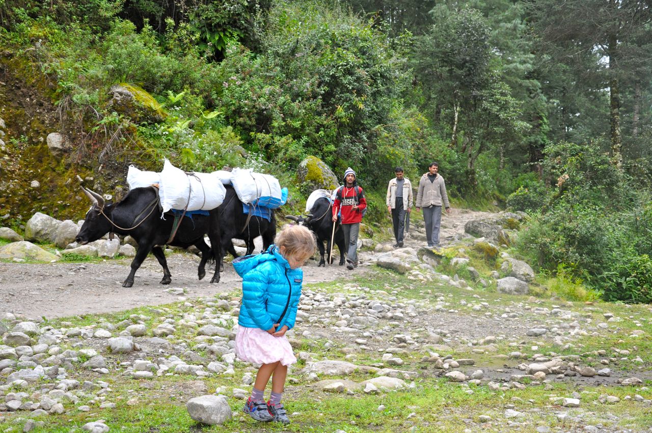 2e-Trail-to-Chusurma-Yaks.jpg