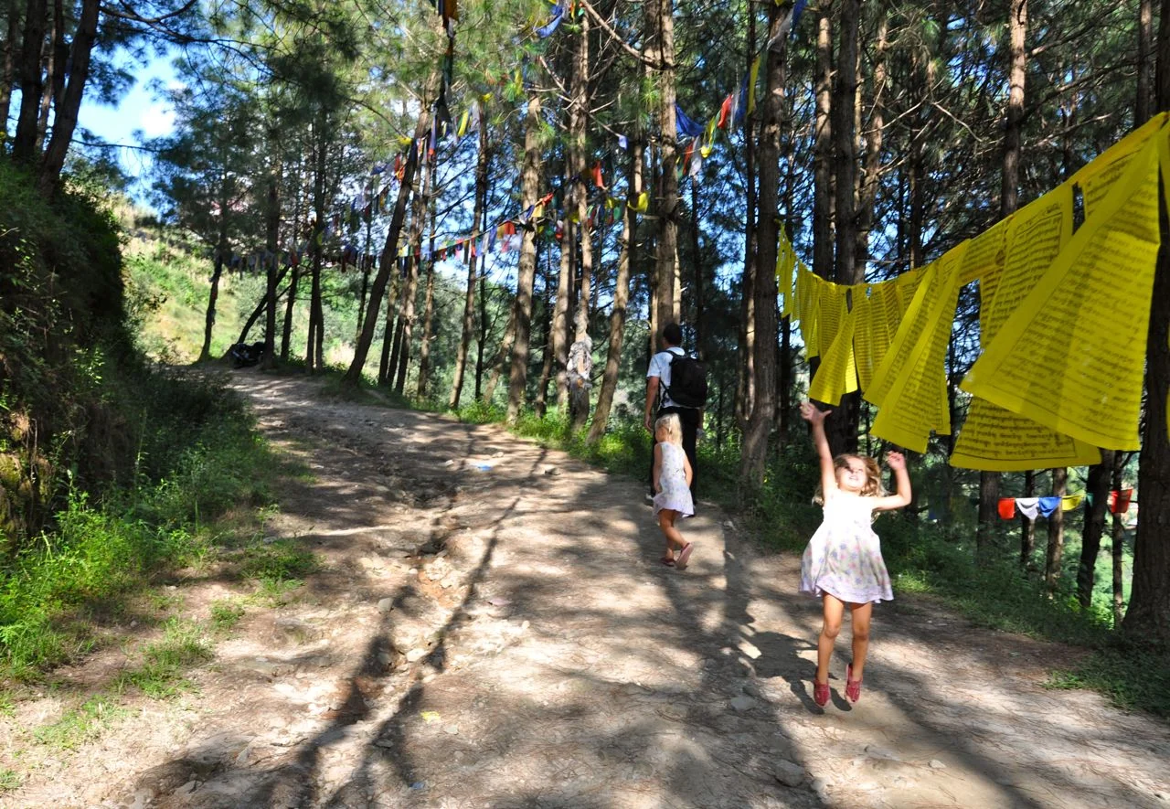 Nepal-Road-to-Pullhari-Monastery-Yeva-Prayer-Flags.jpg