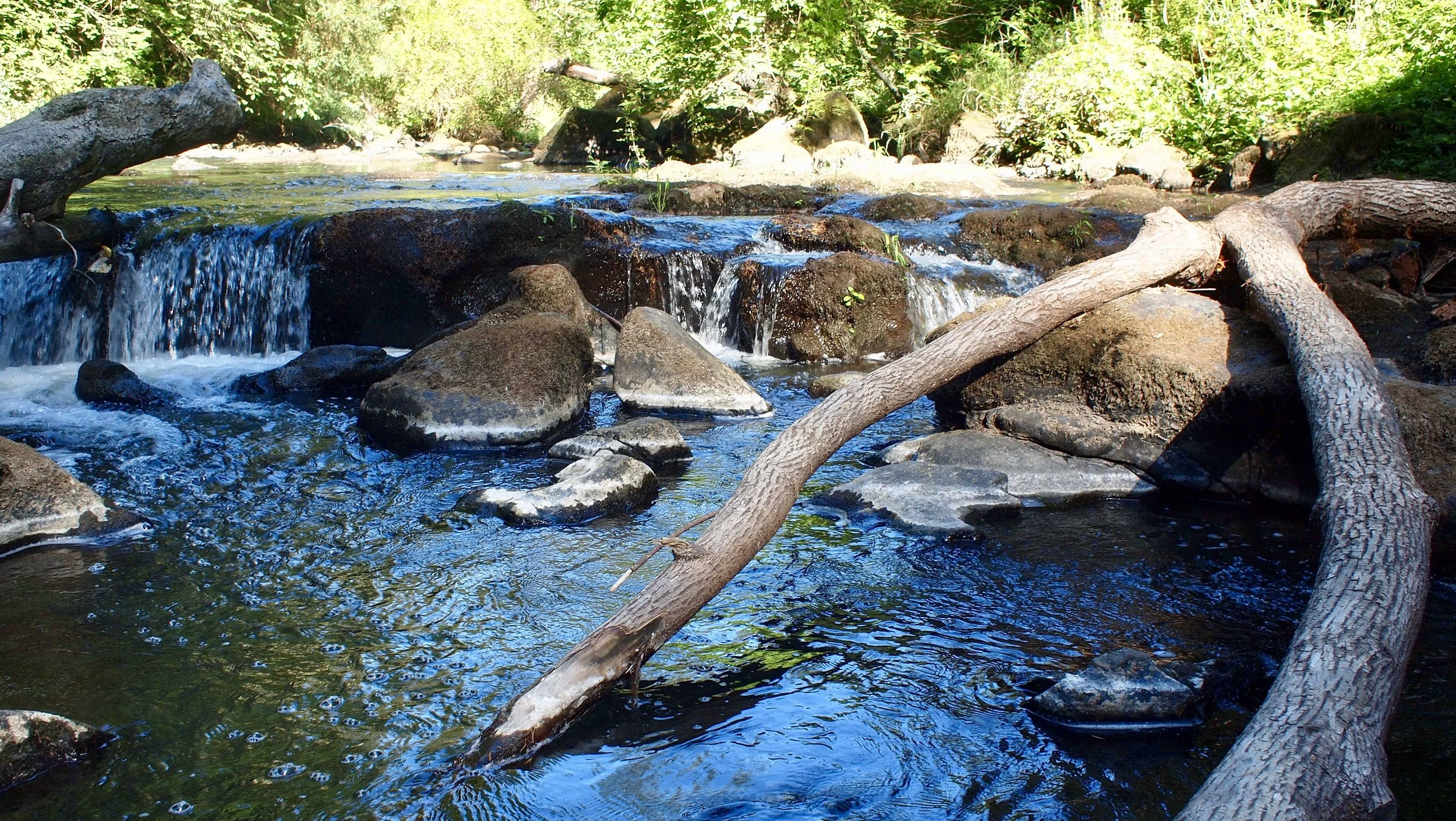 RiverPic.JPG