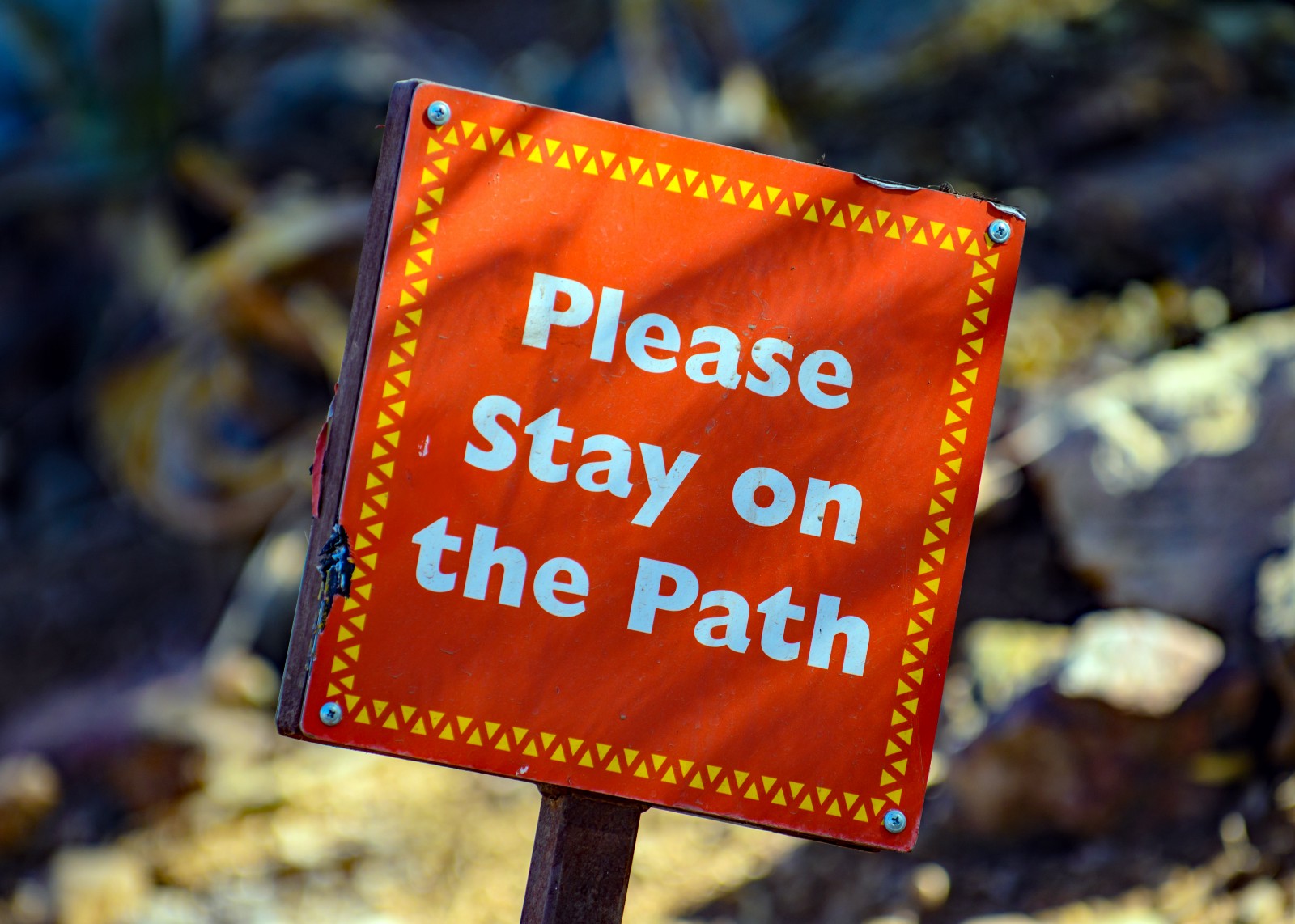 stay on path.jpeg