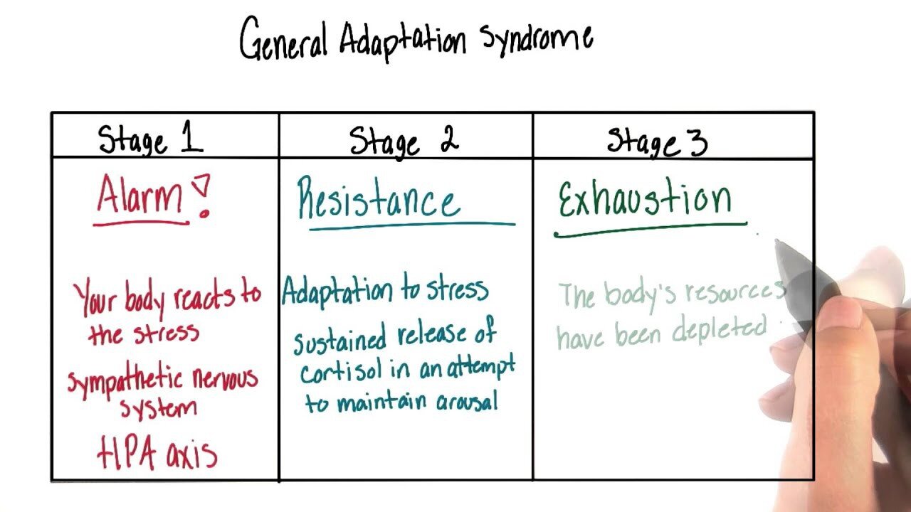 General Adaptation Syndrome Model