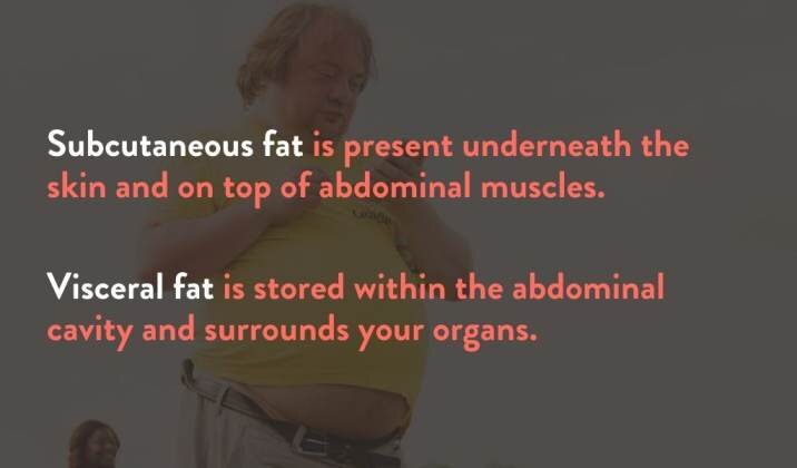 subcutaneous fat vs visceral fat.jpg