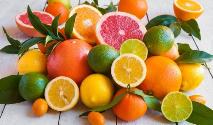 Citrus Fruits.jpg