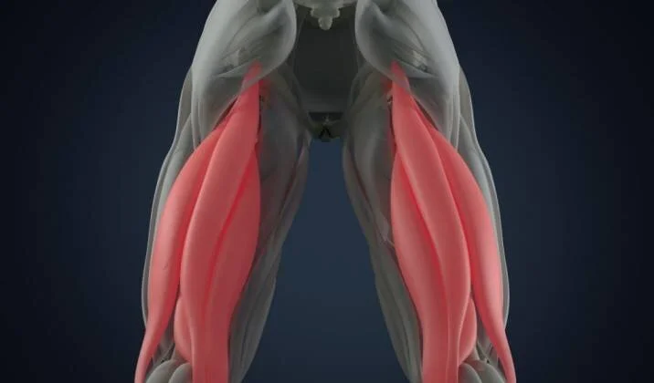 The Benefits Of Working Your Hamstrings.jpg