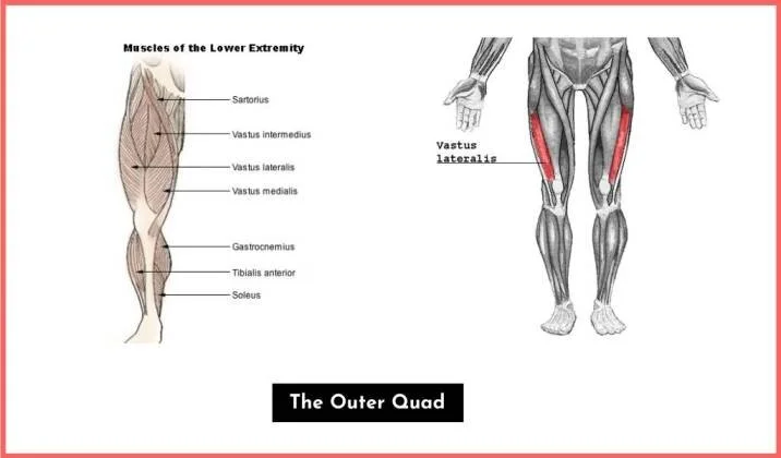Stretches For The Outer Thigh Build Outer Thigh Muscle How To
