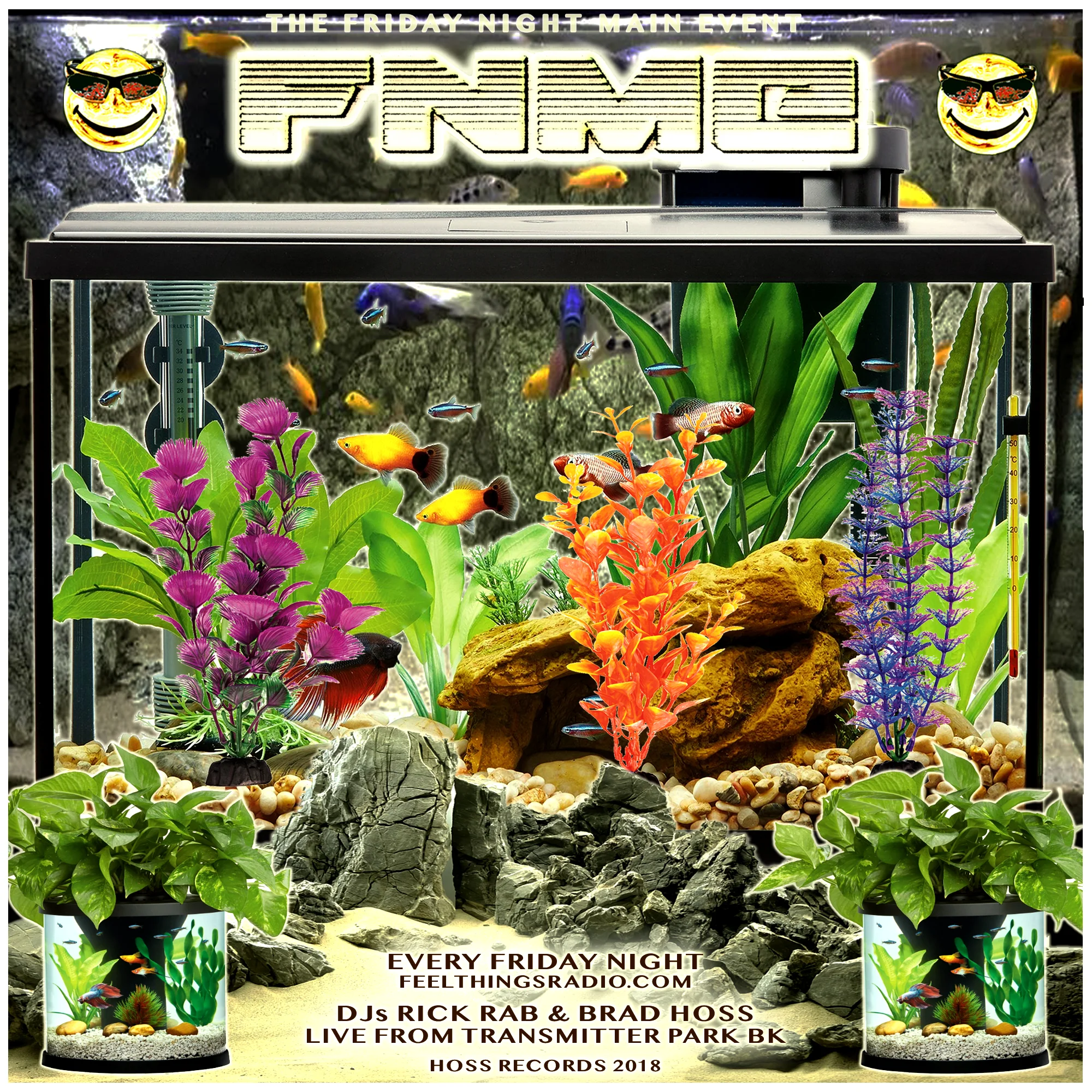 FNME Jan 4th 2018.jpg