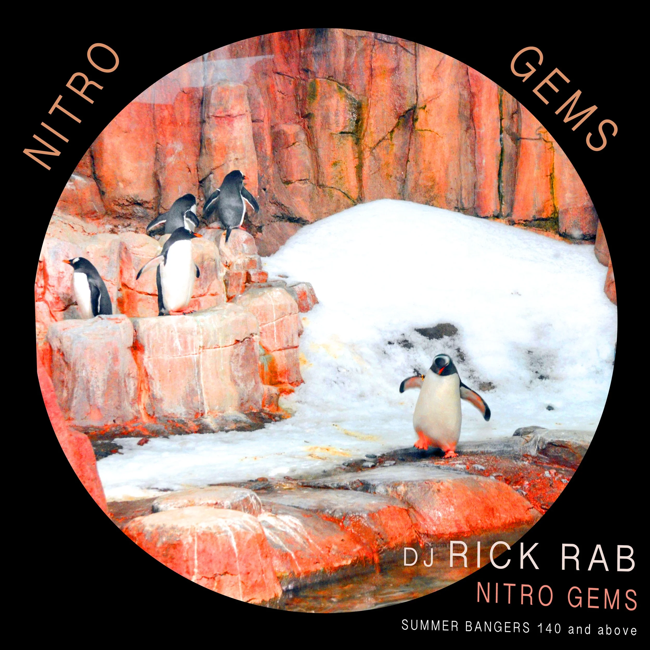 Nitro Gems (DJ Rick Rab) Art.jpg