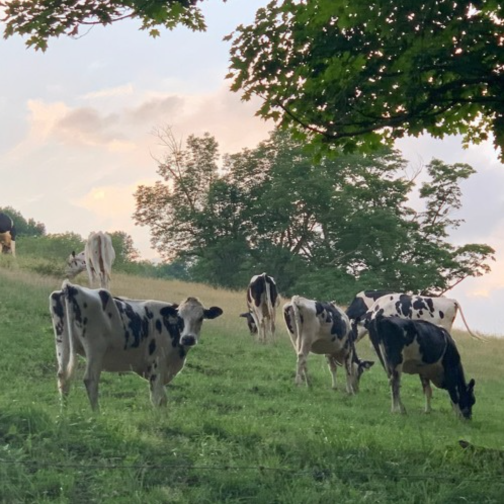 Screen Shot 2022-09-20 at 9.49.26 PM.png