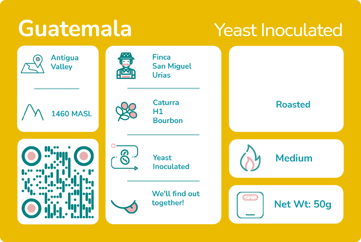 Fermentation Project - Yeast Inoculated.png