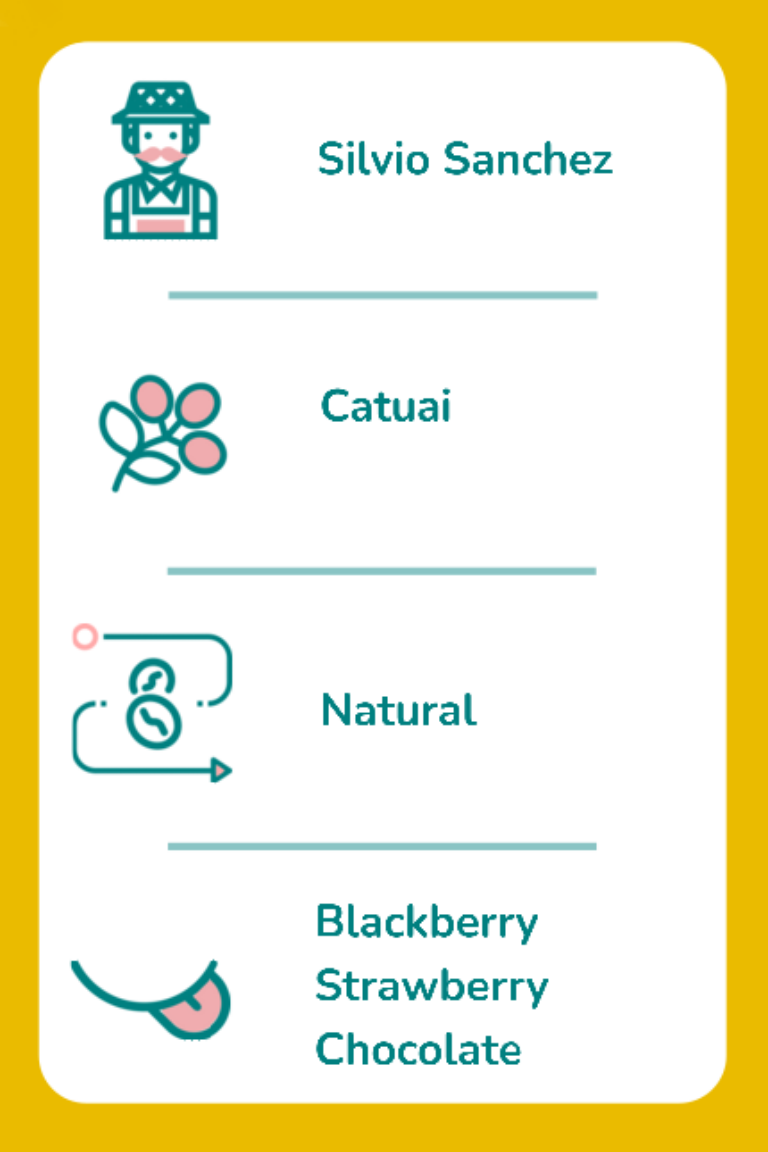 Tasting Notes - Nicaragua - Silvio Sanchez.png