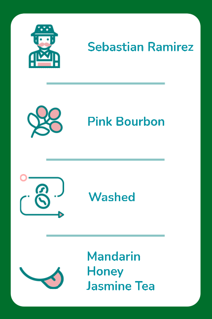 Tasting Notes - Colombia - Sebastian Ramirez.png