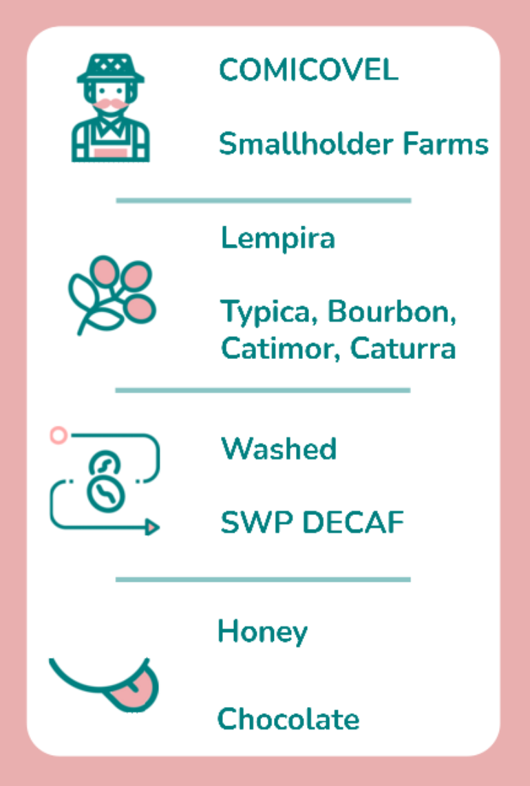 Tasting Notes - Half Caff.png