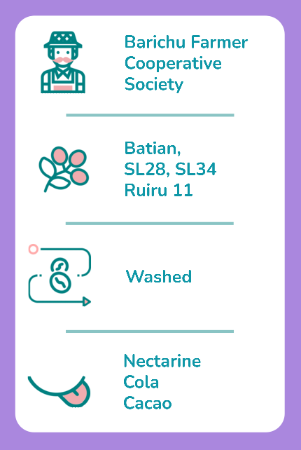 Tasting Notes - Kenya - Nyeri.png