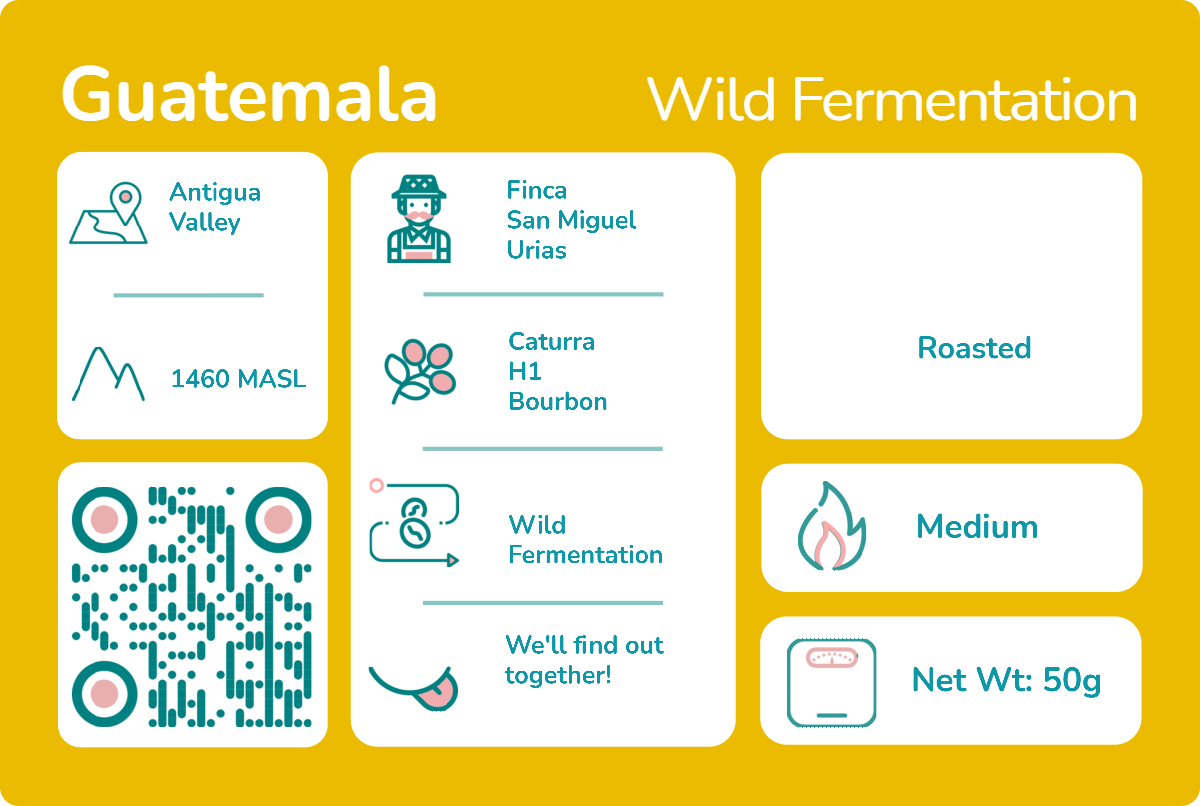 Fermentation Project - Wild Fermentation.png