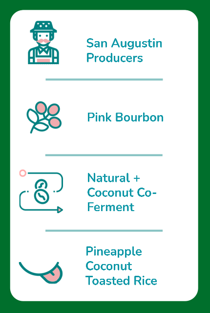 Tasting Notes - Colombia - San Augustin - Tropical Splash.png