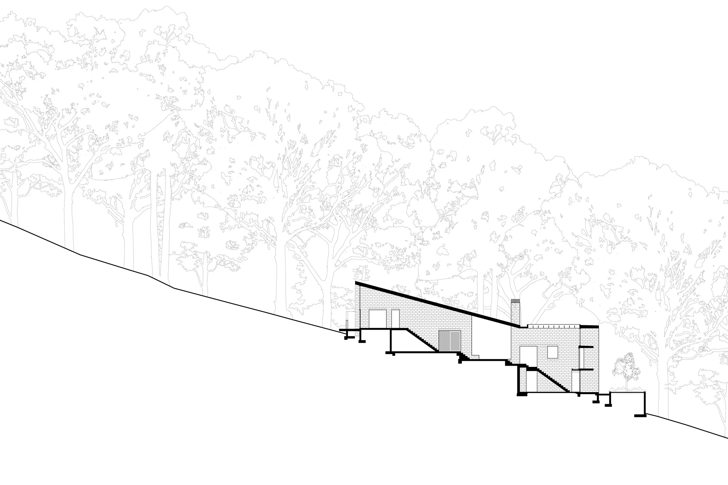 MT COOT THA NIELSEN JENKINS 02