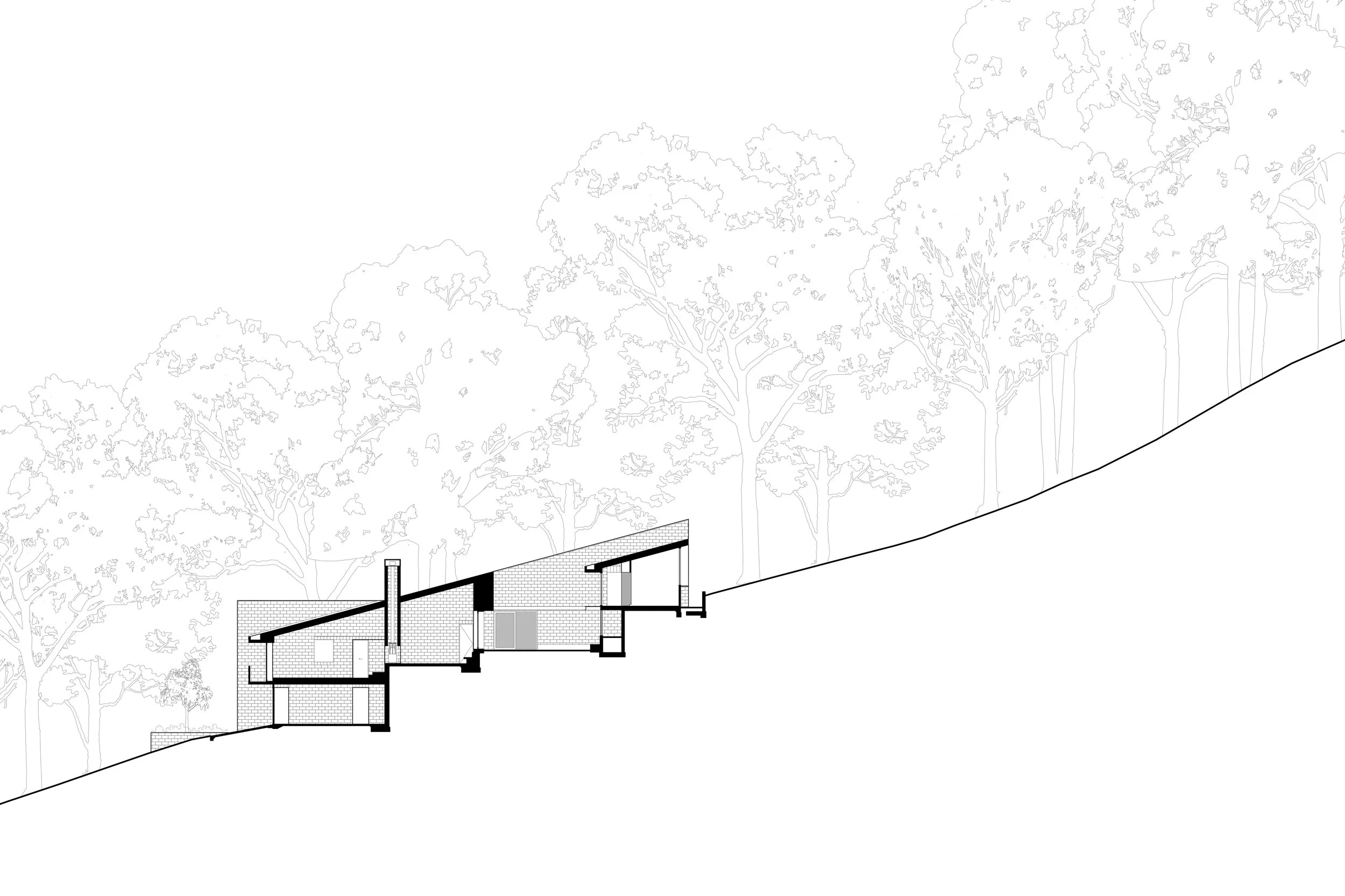 MT COOT-THA_Section A.jpg