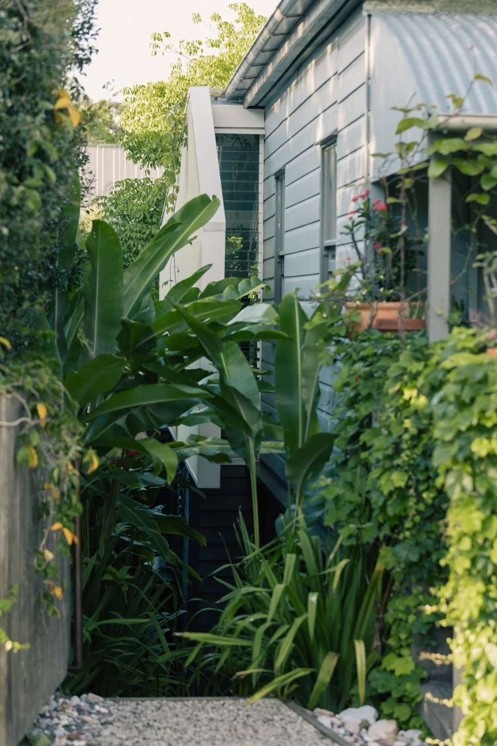 East Brisbane_020.jpg