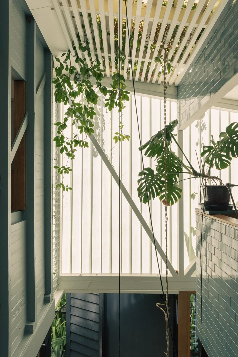 East Brisbane_094.jpg