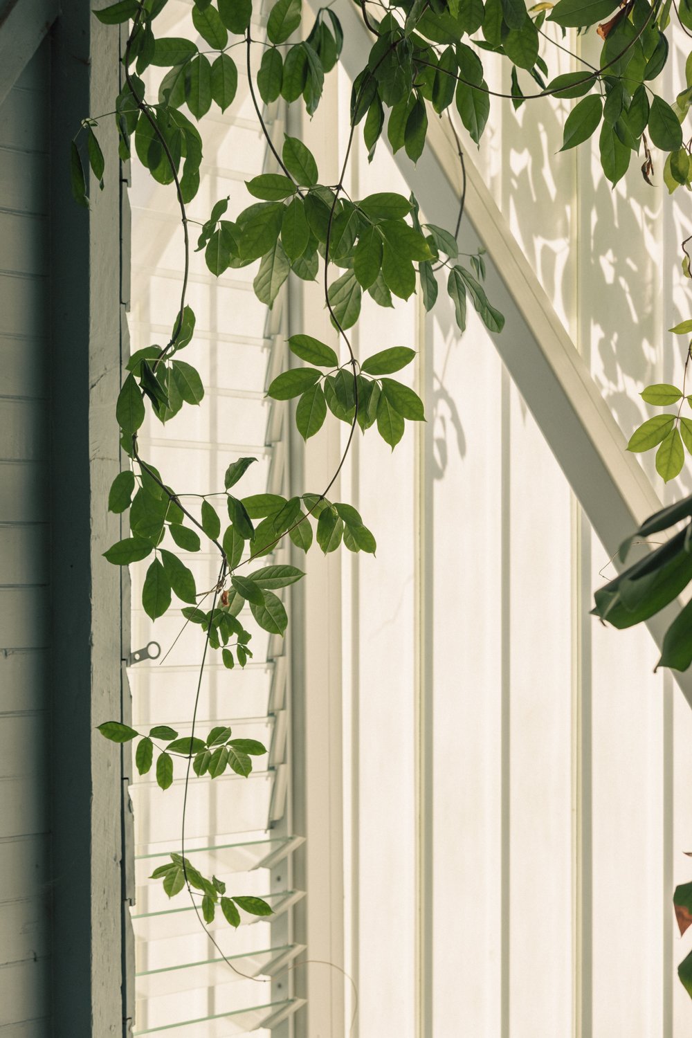 East Brisbane_107.jpg