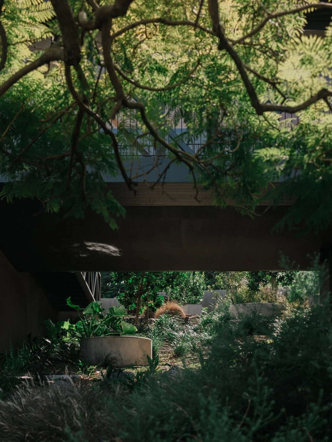 Yeronga_028.jpg