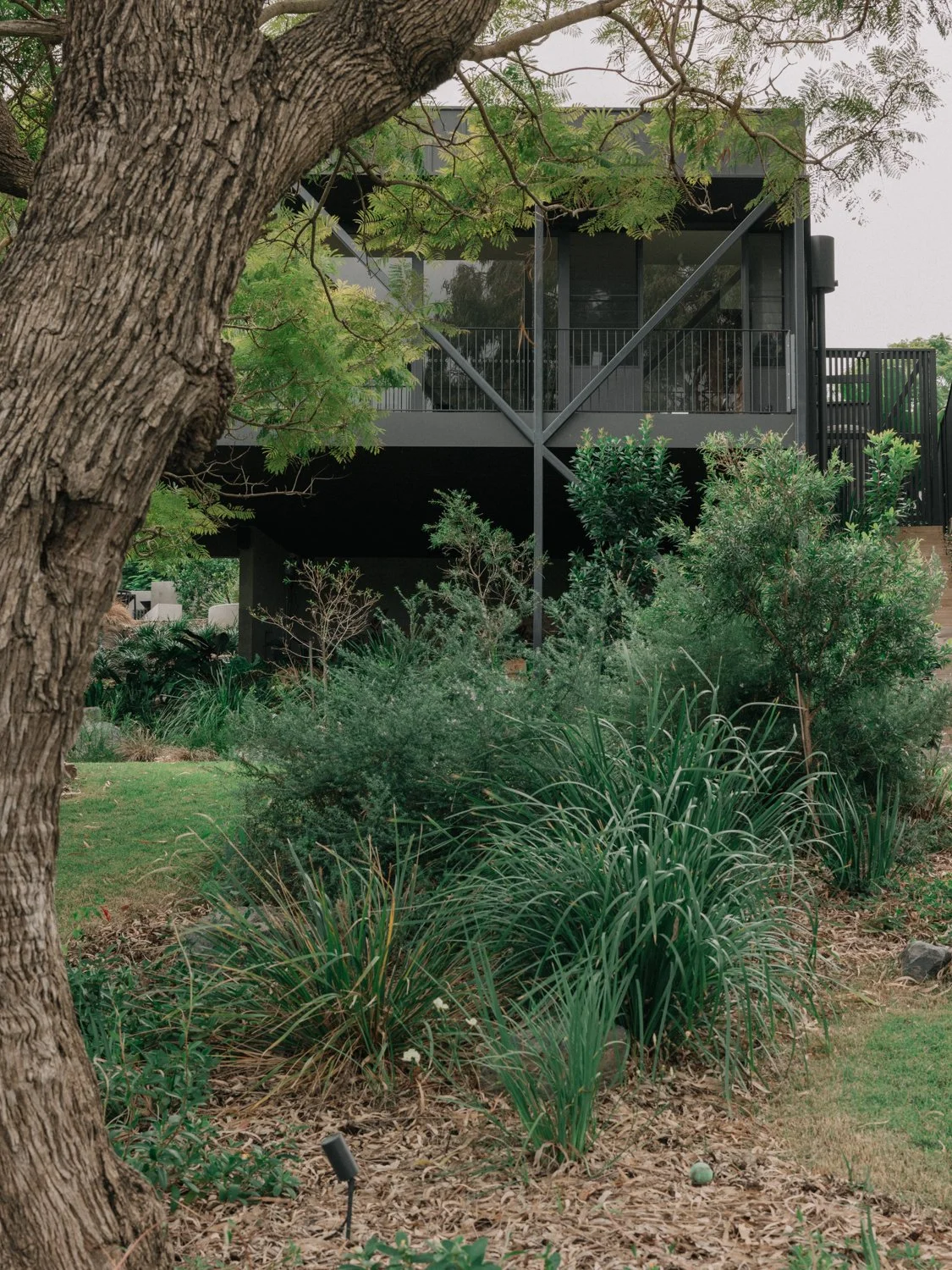 Yeronga_147.jpg