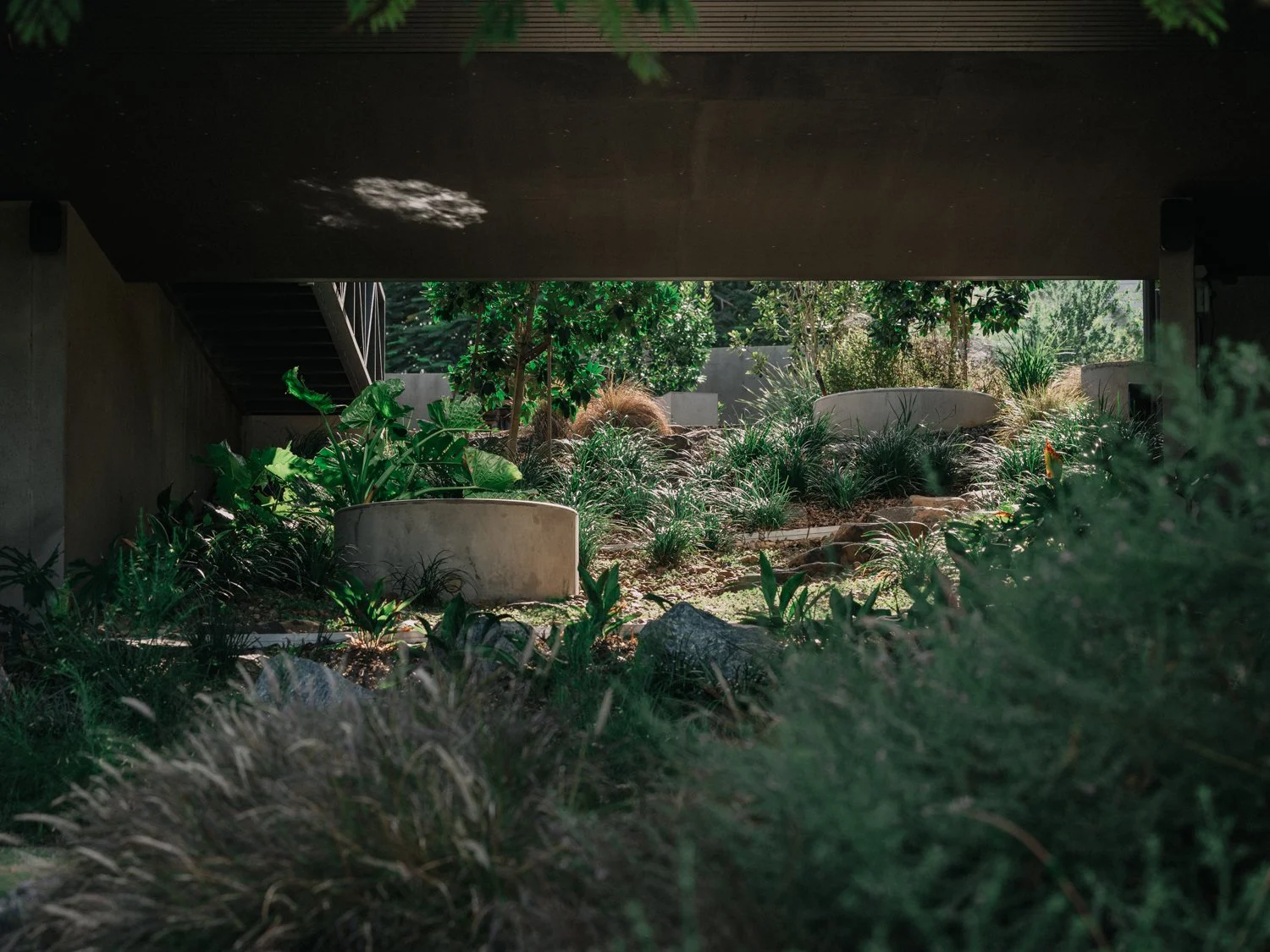 Yeronga_026.jpg