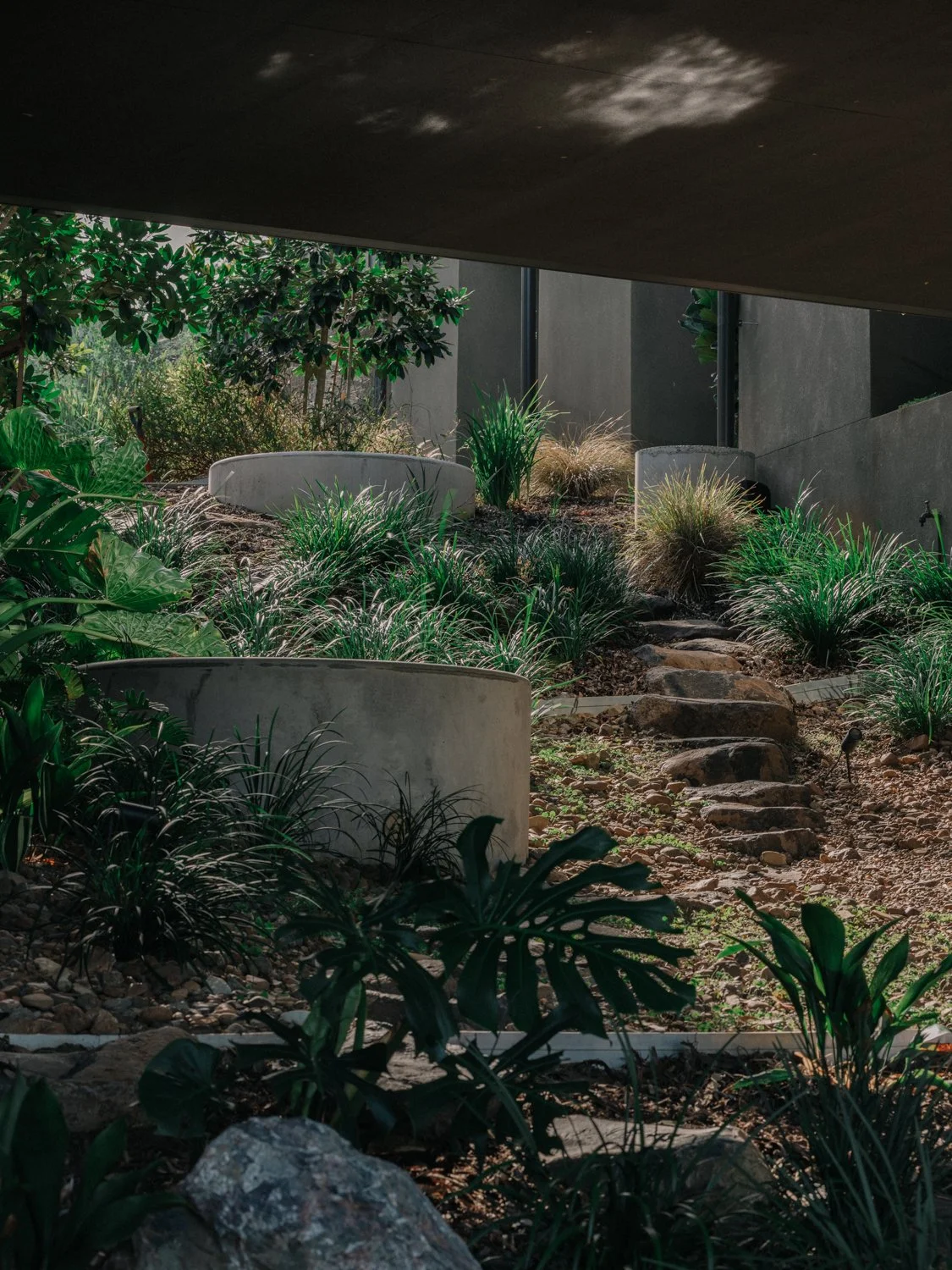 Yeronga_034.jpg
