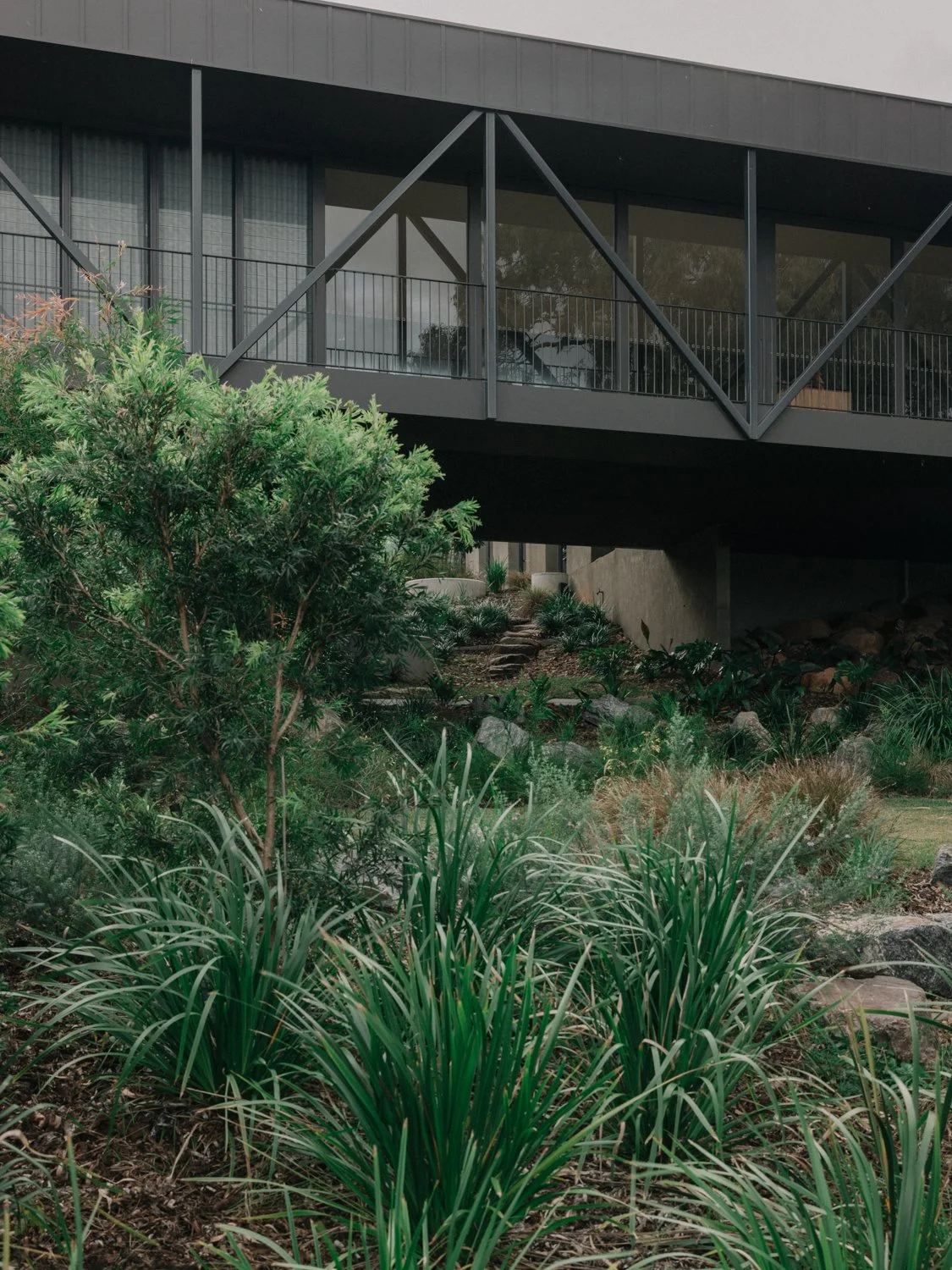 Yeronga_128.jpg