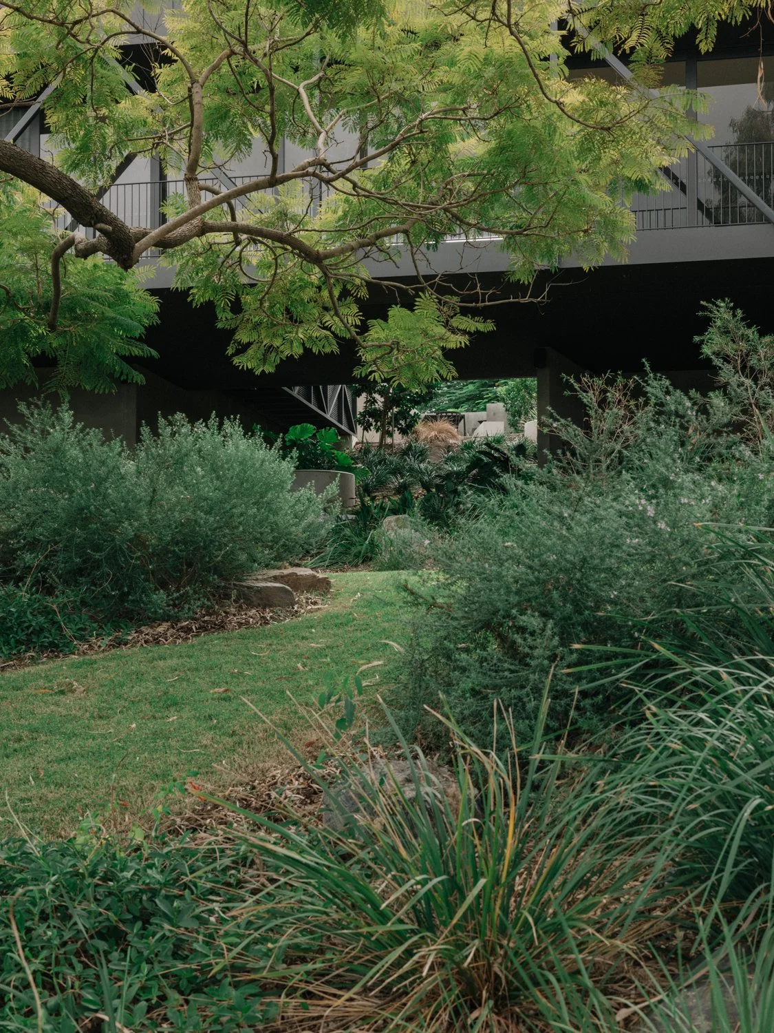 Yeronga_150.jpg