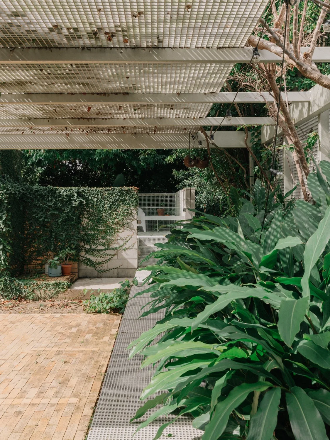 Dutton Park_021.jpg