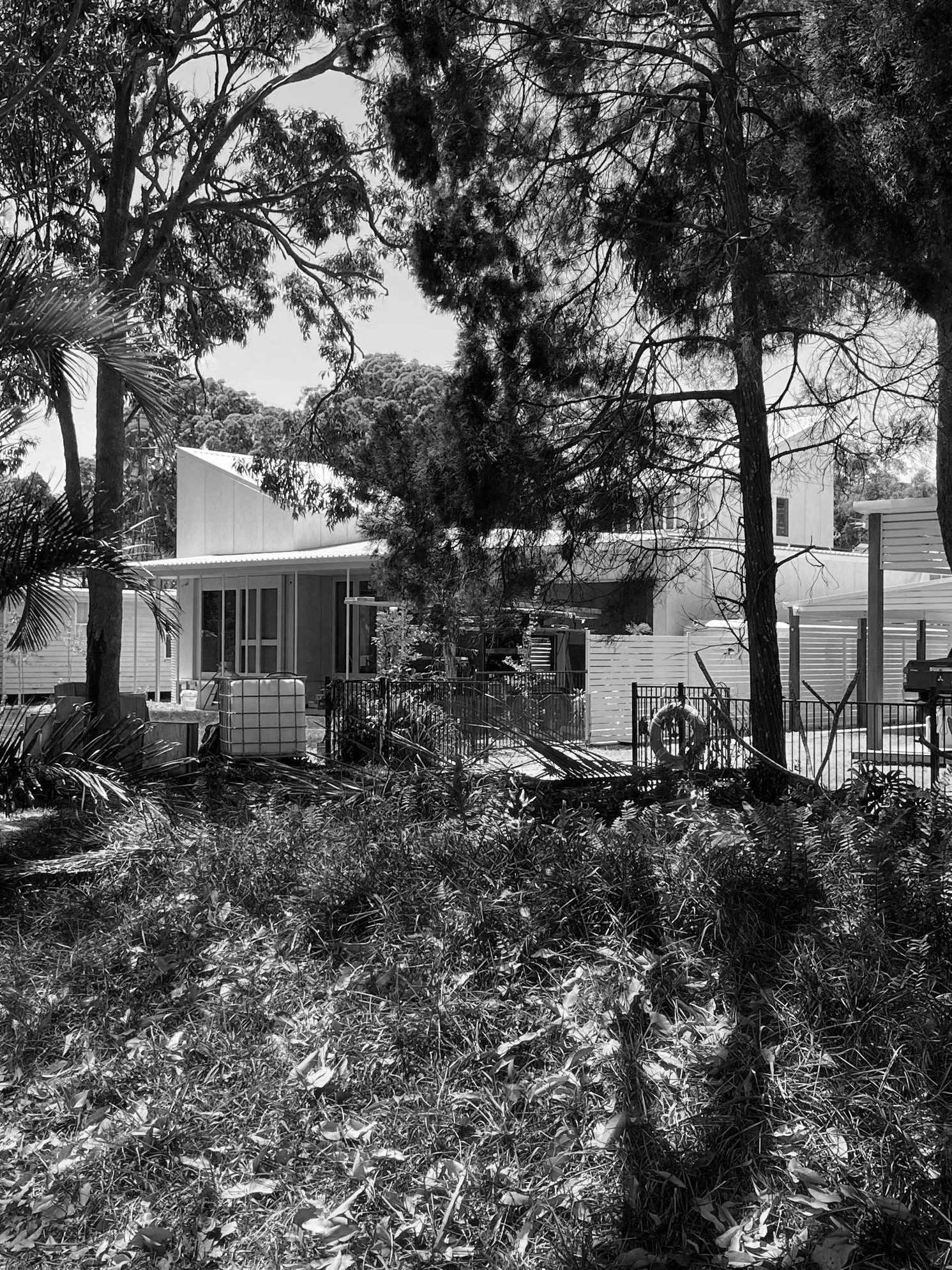 8404b9cb-4009-487f-9137-cfc1a5424c40 B&W.jpg