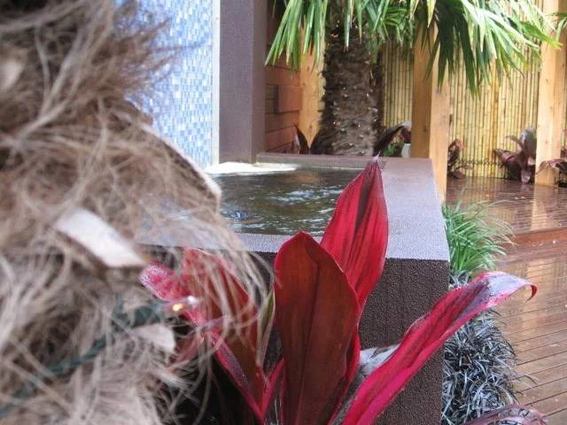 img-0979-wfqqhsvehghh-960l.jpg